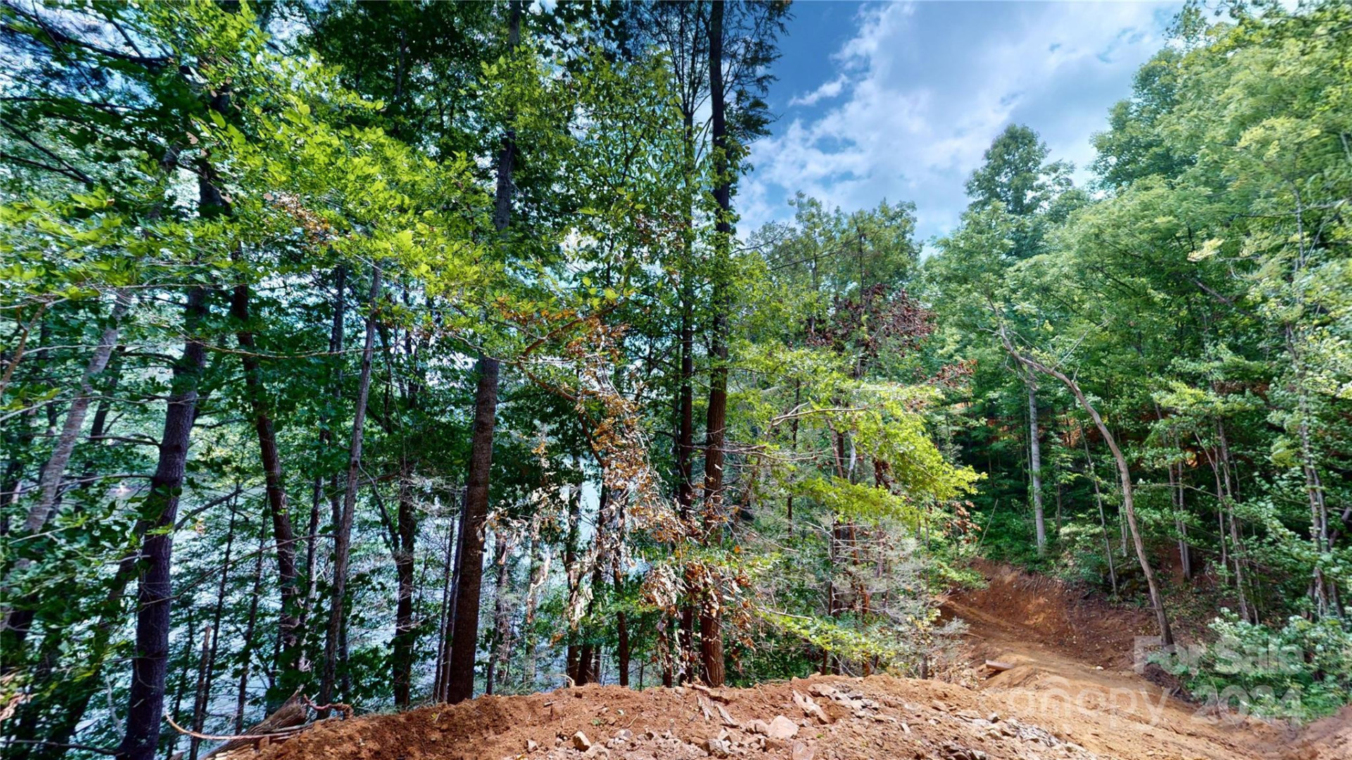 000 White Oak Road - Photo 28