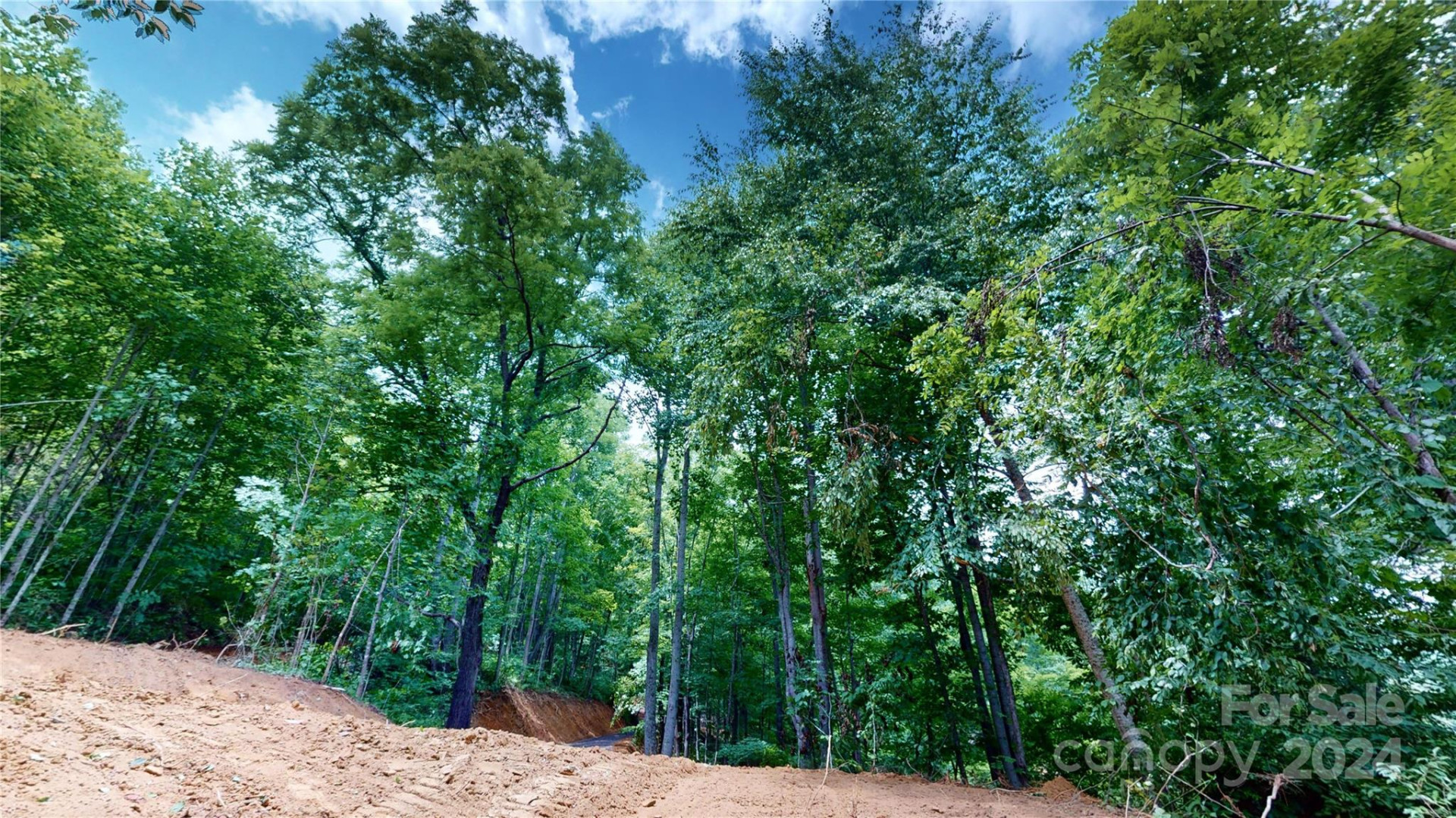 000 White Oak Road - Photo 29