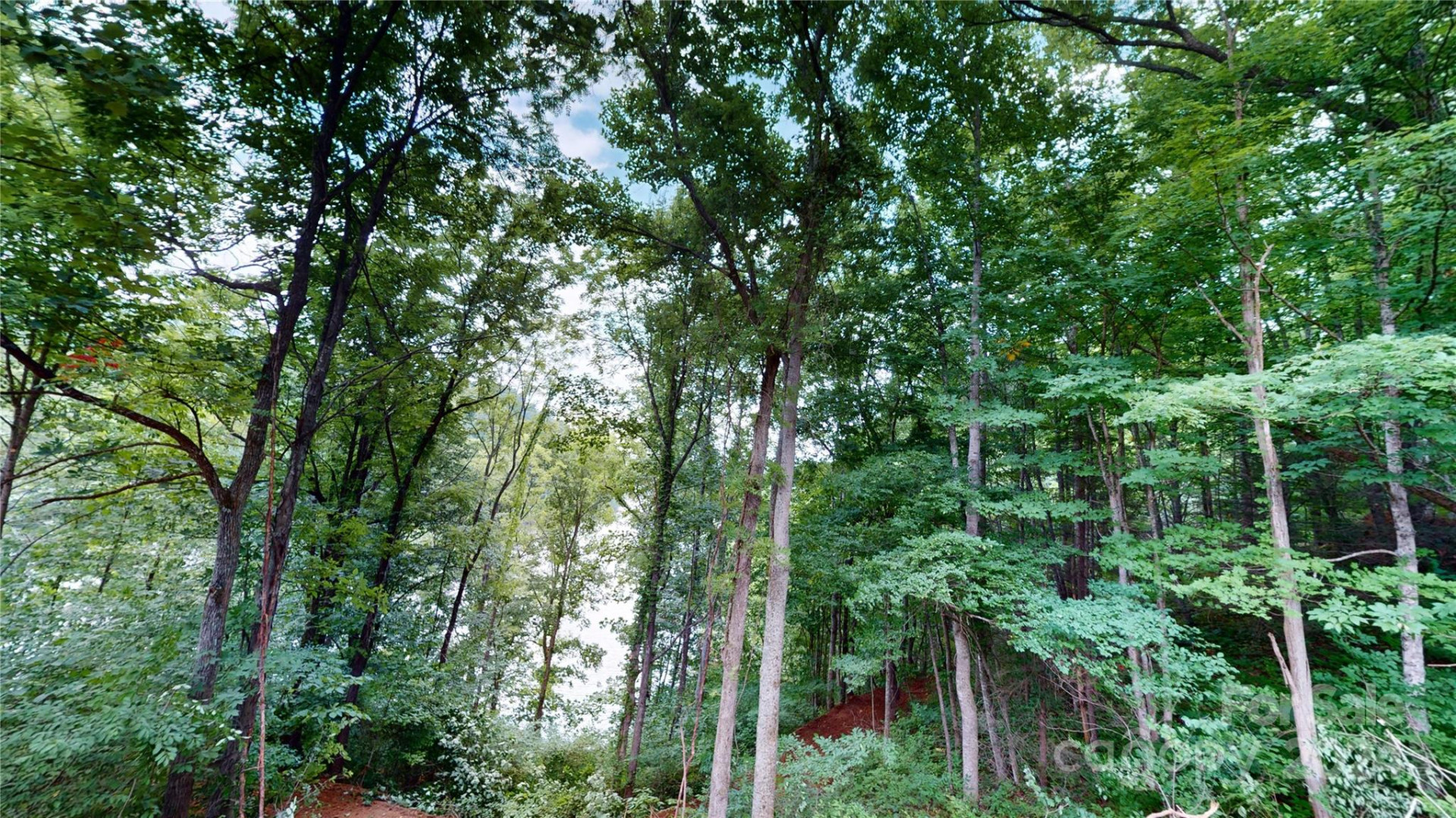 000 White Oak Road - Photo 30