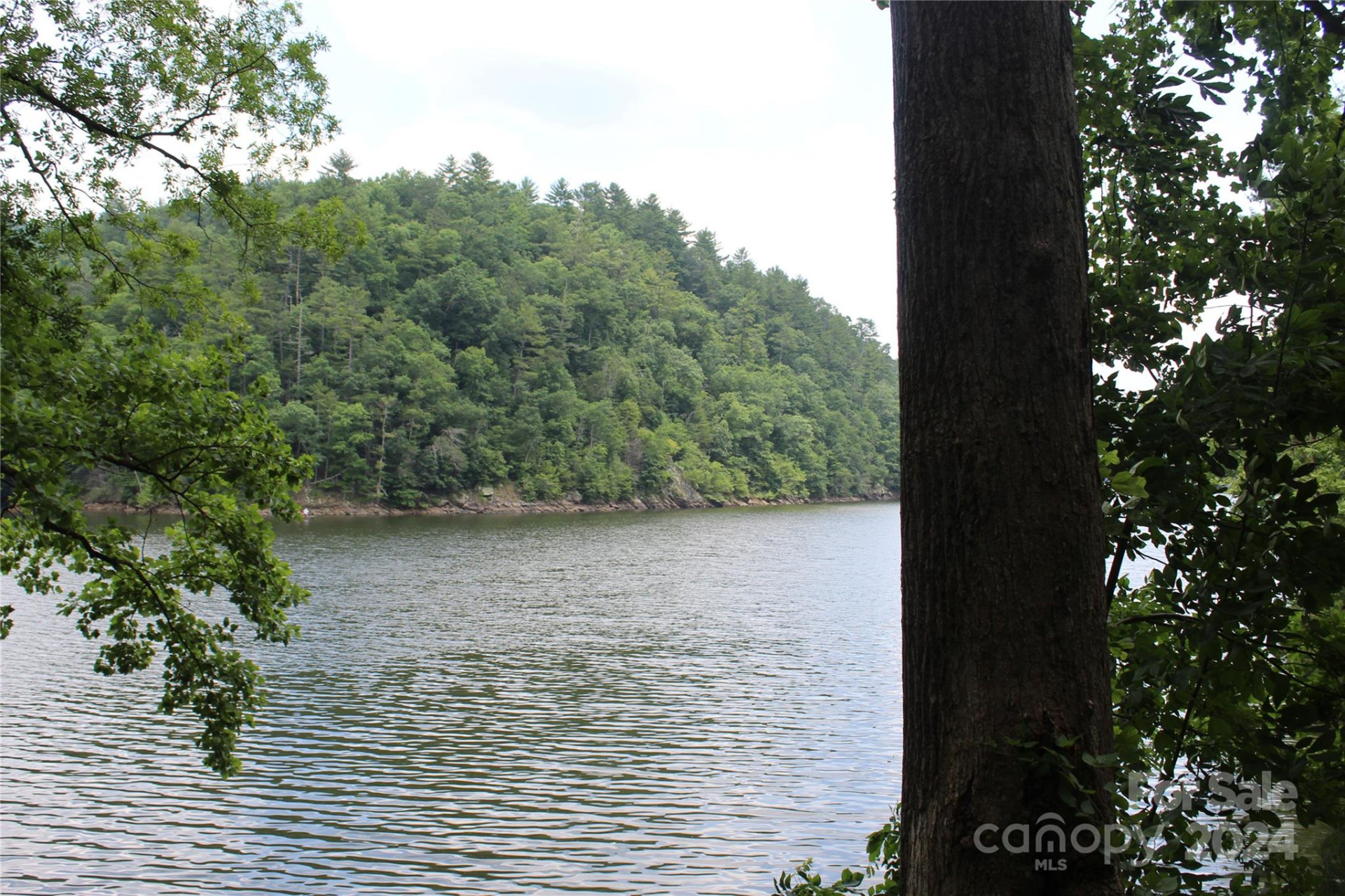 000 White Oak Road - Photo 4