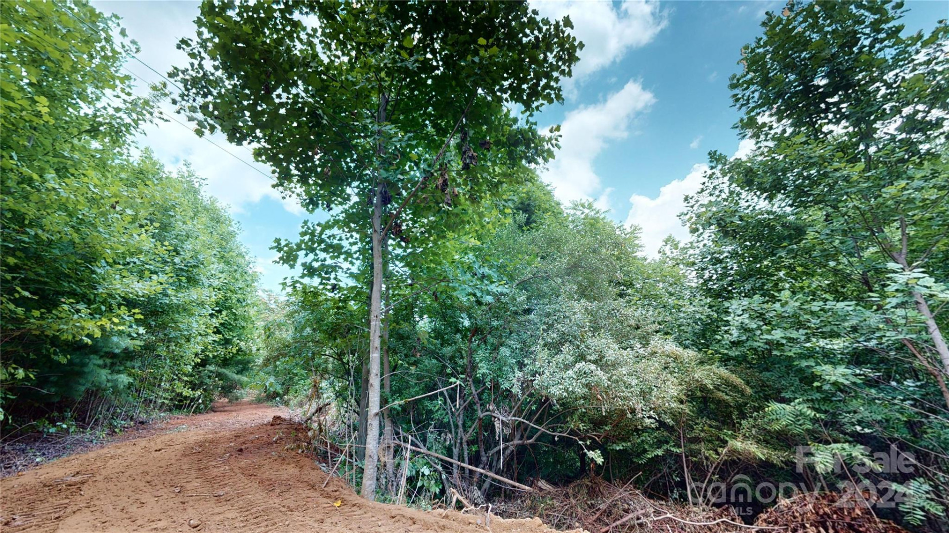 000 White Oak Road - Photo 39