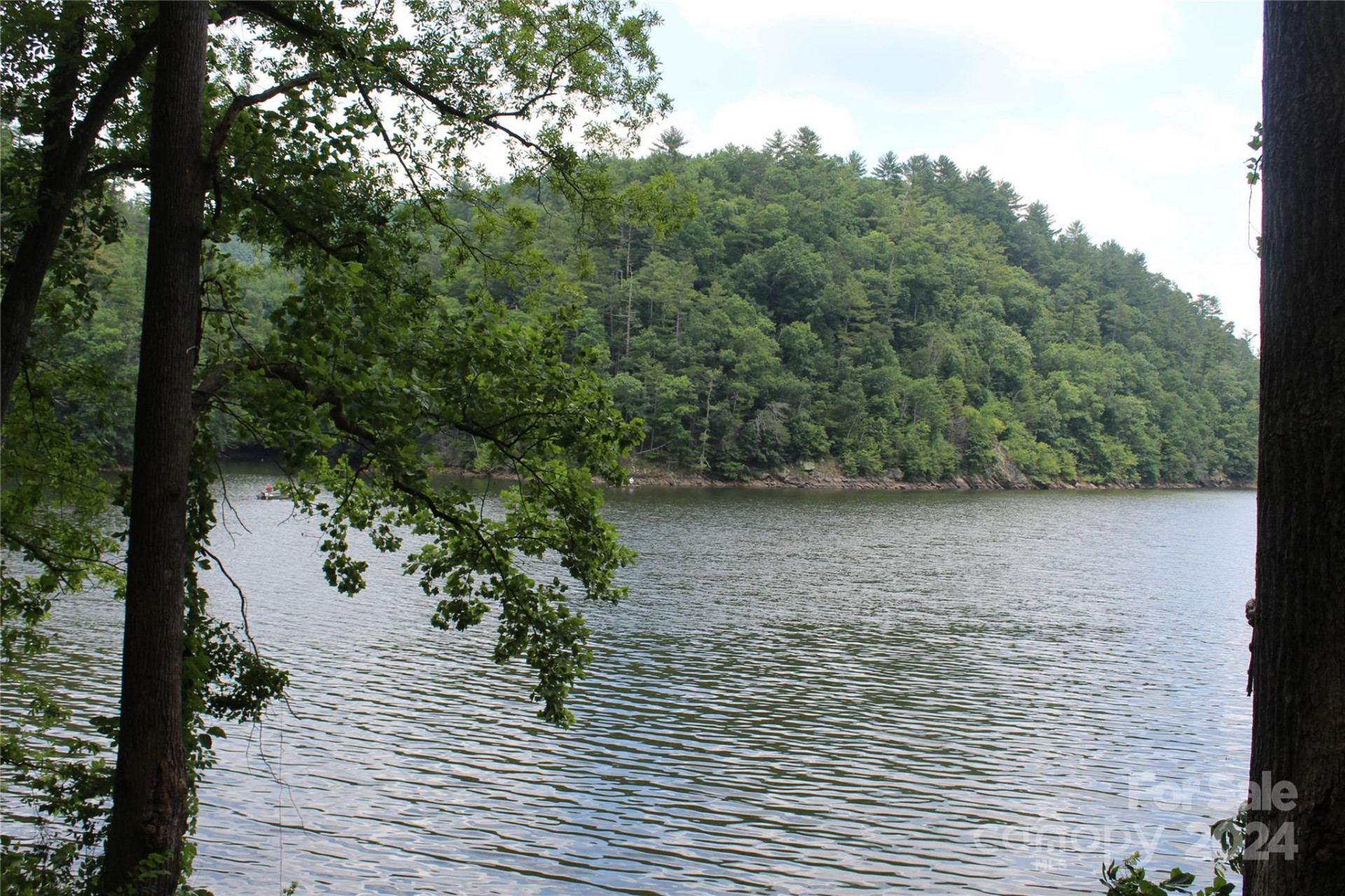 000 White Oak Road - Photo 5