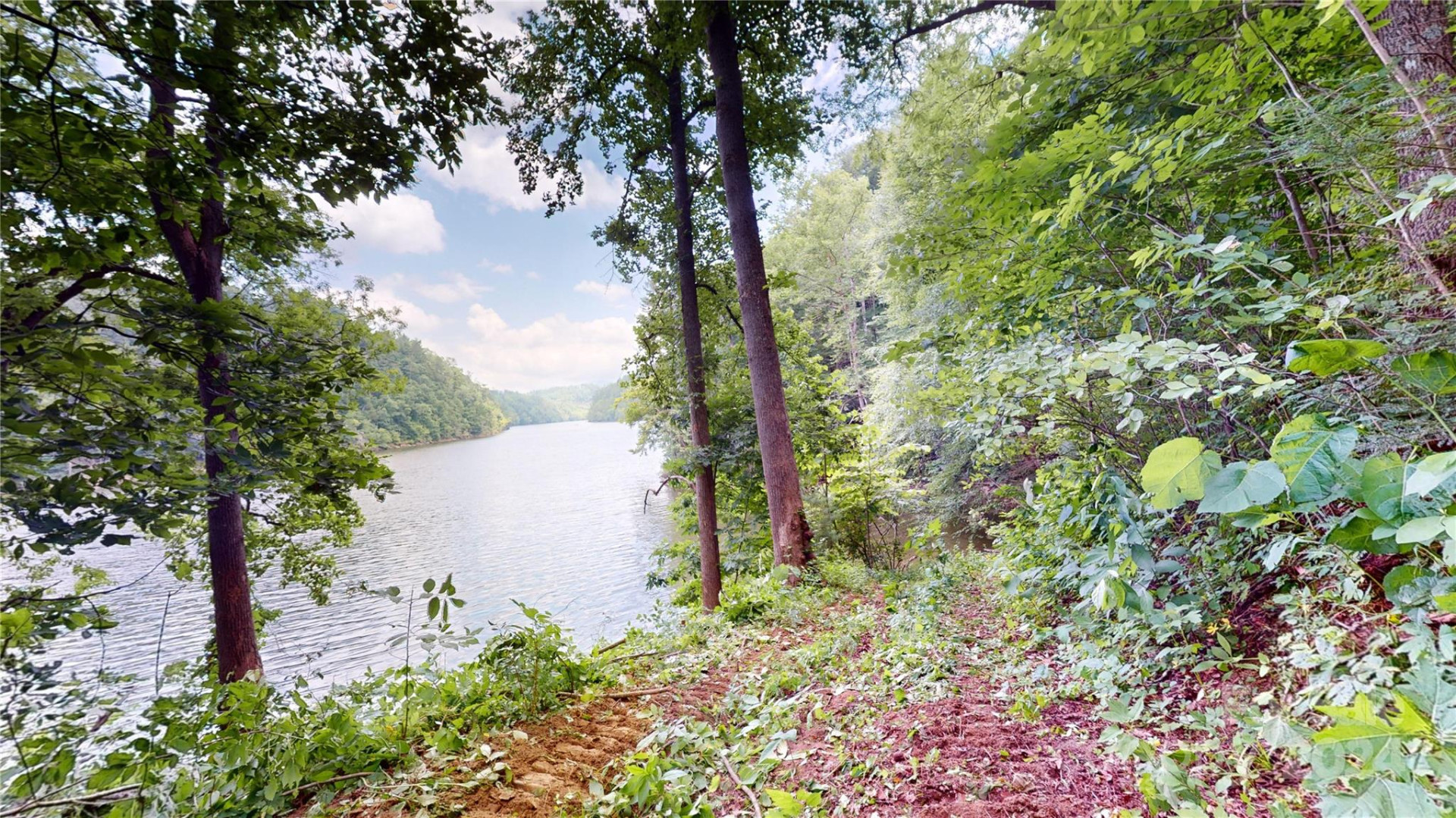 000 White Oak Road - Photo 6