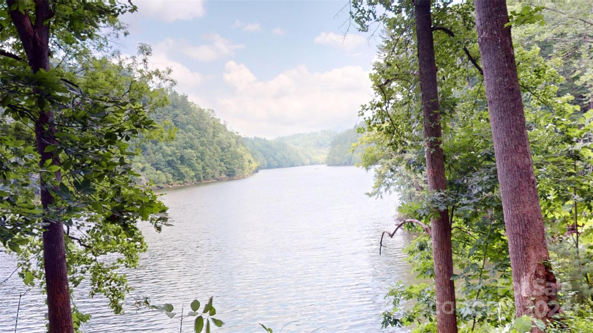 000 White Oak Road - Photo 7