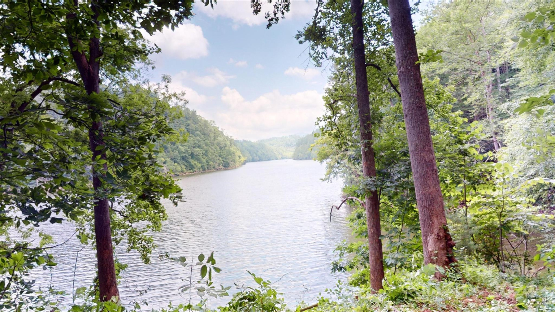 000 White Oak Road - Photo 8