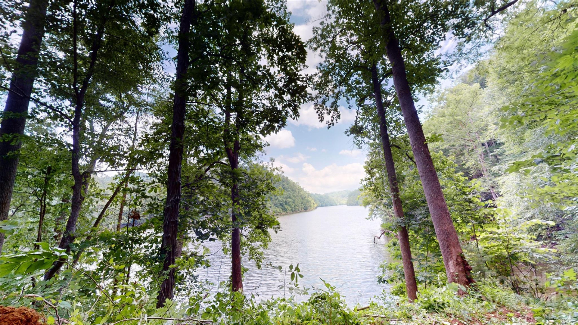 000 White Oak Road - Photo 9