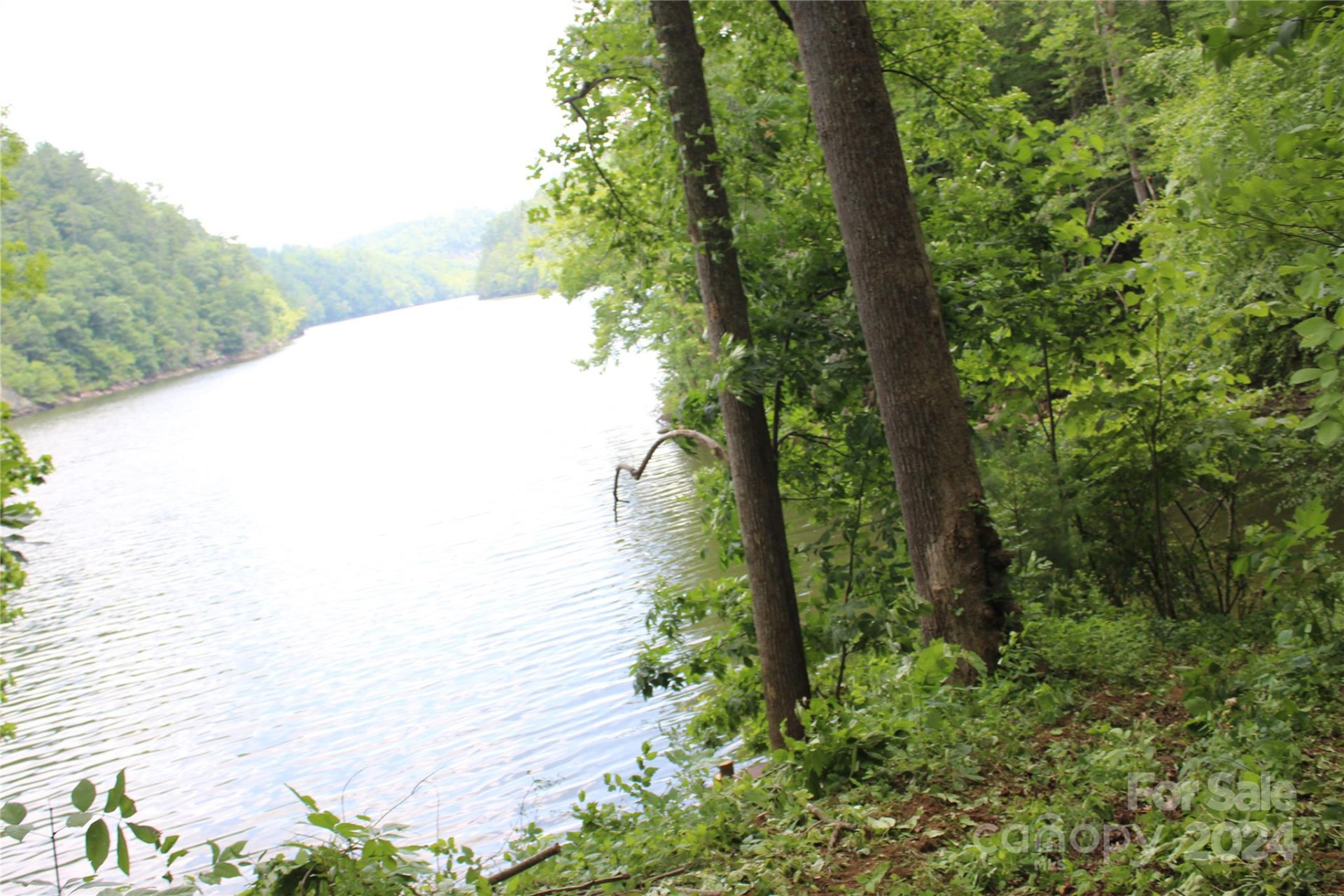 000 White Oak Road - Photo 10