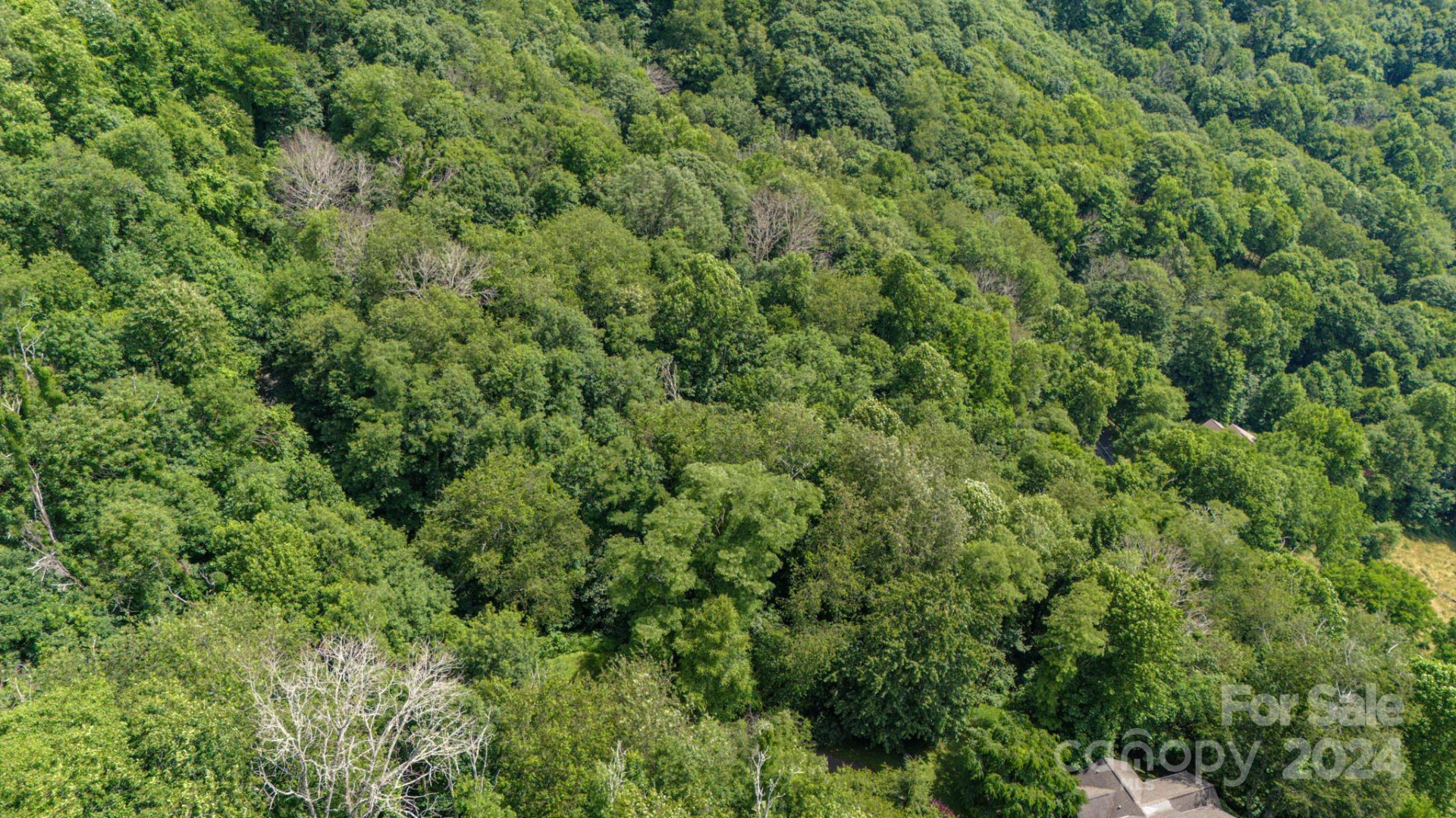 35 Twisted Trail - Photo 11