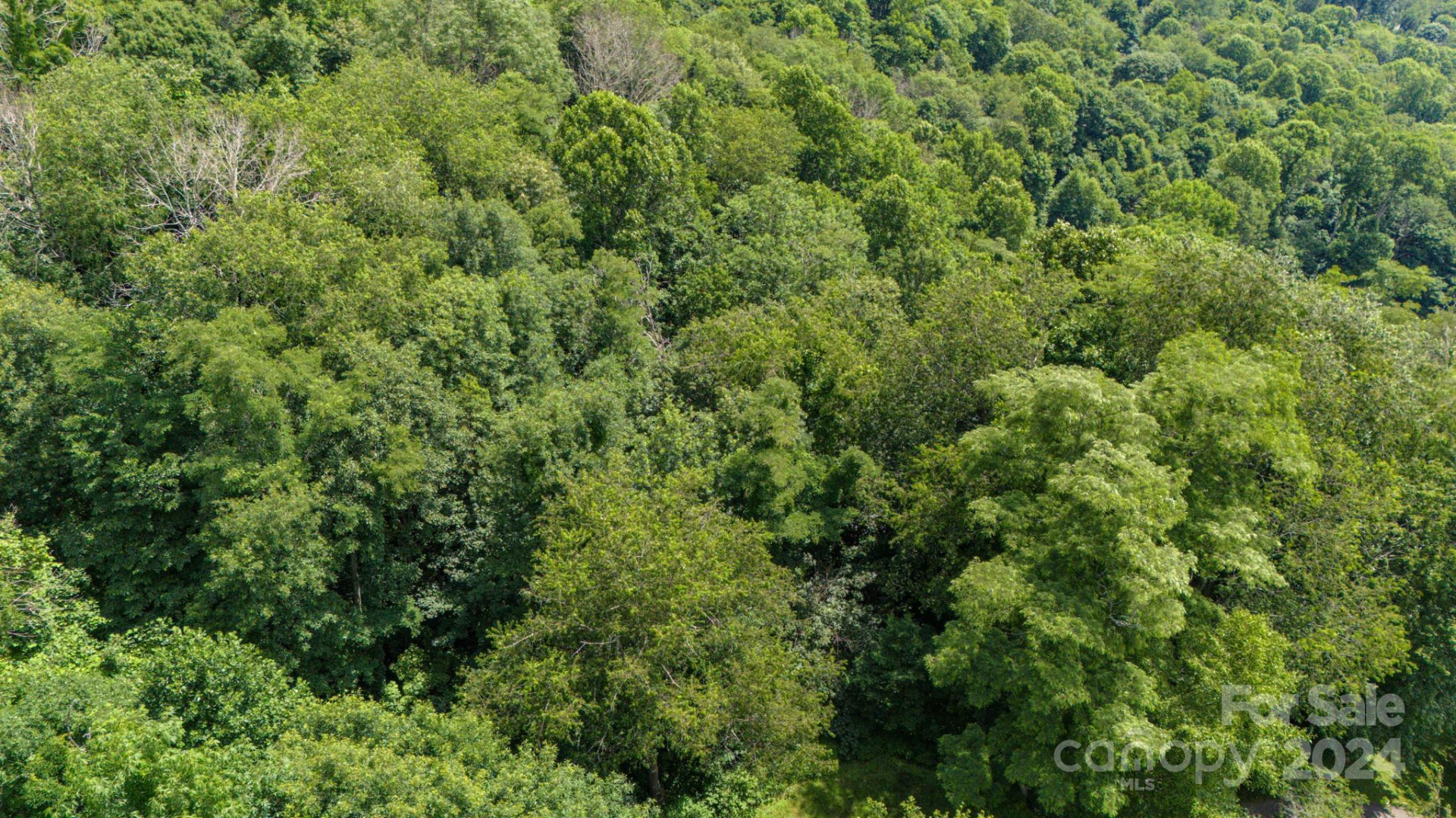 35 Twisted Trail - Photo 12