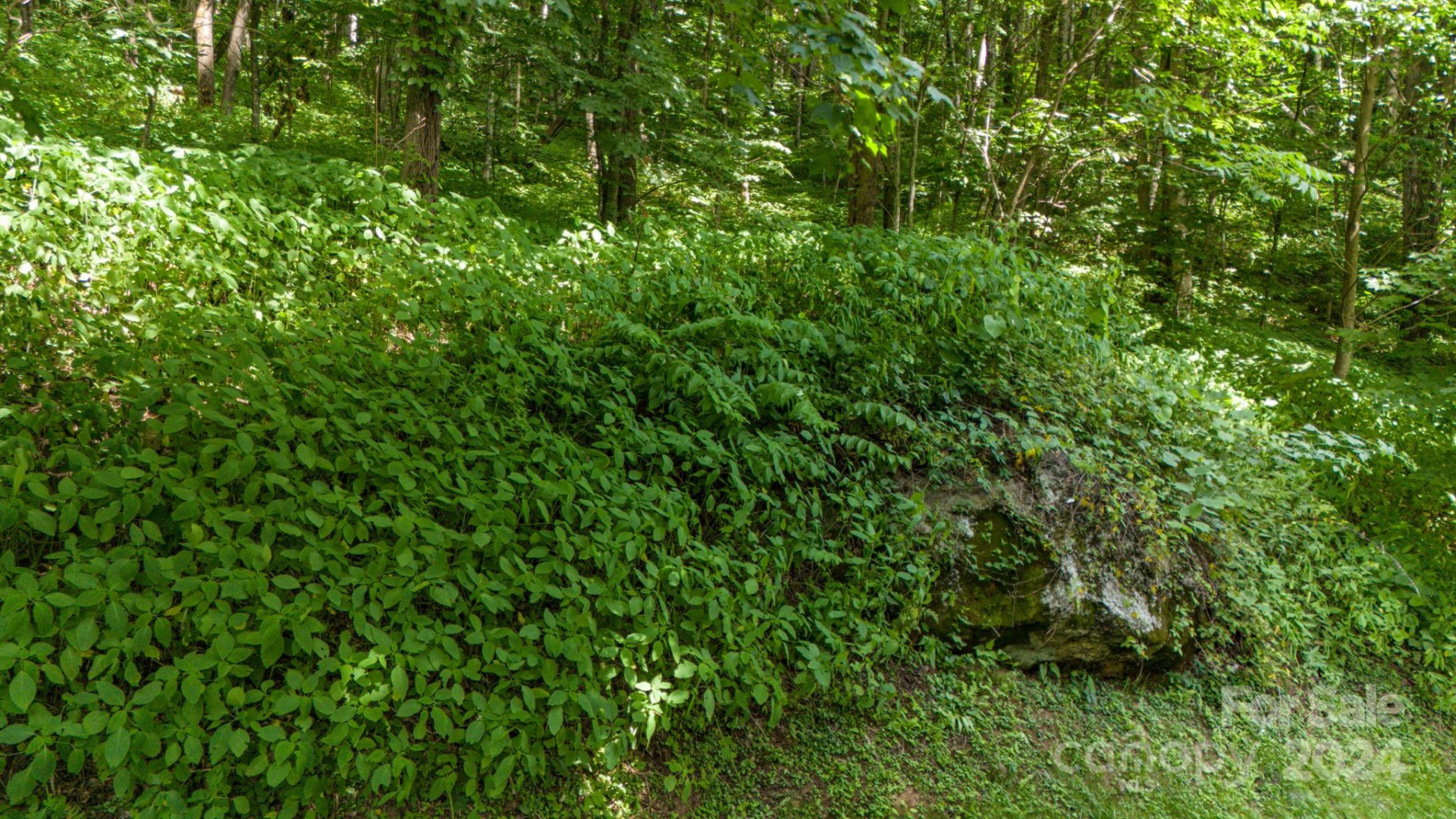 35 Twisted Trail - Photo 13