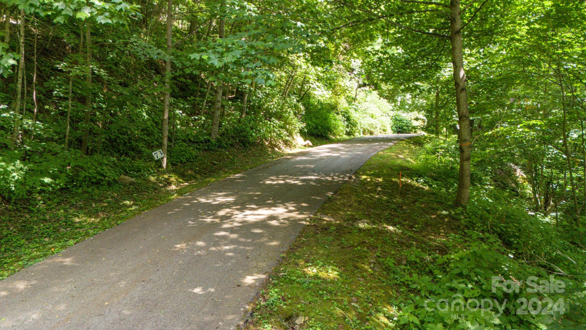 35 Twisted Trail - Photo 14