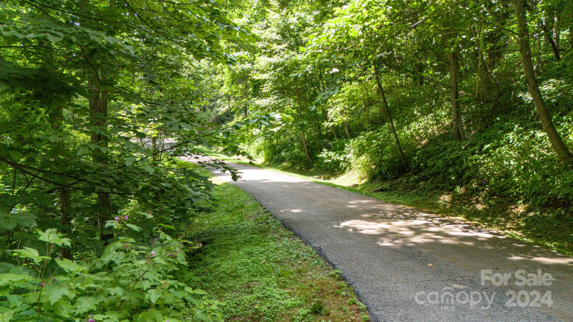 35 Twisted Trail - Photo 15