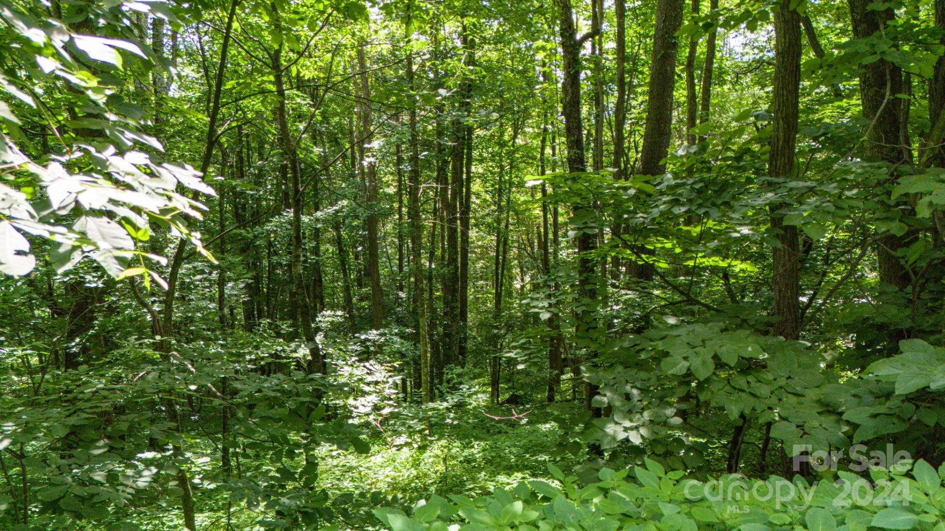 35 Twisted Trail - Photo 16