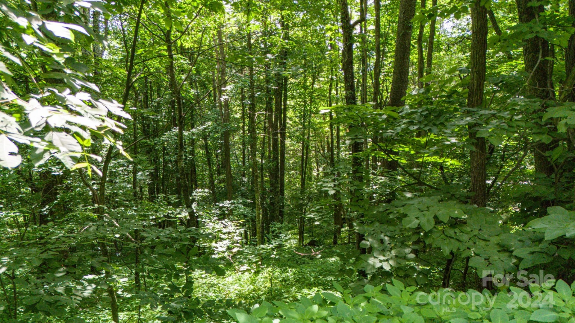 35 Twisted Trail - Photo 16