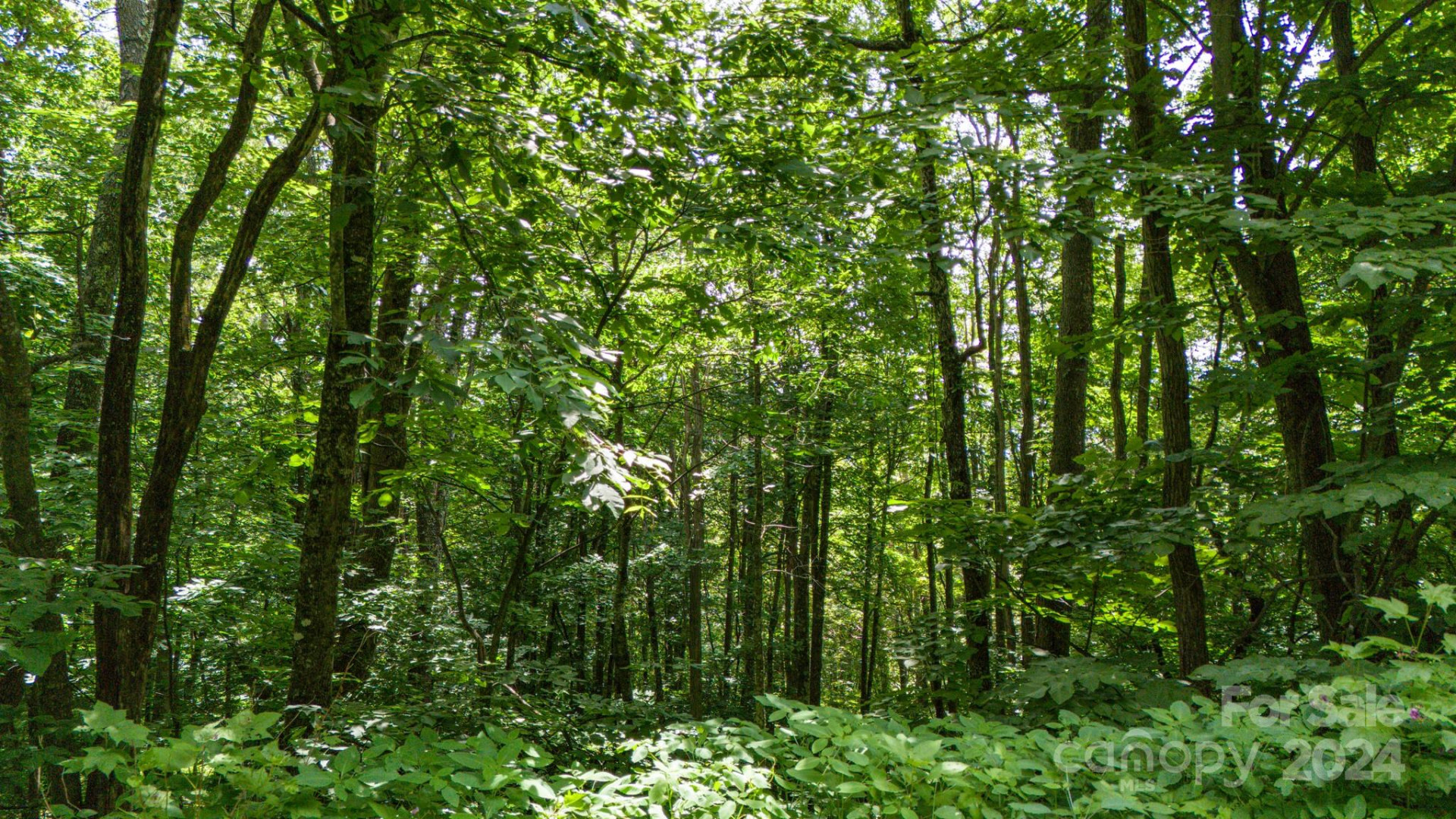 35 Twisted Trail - Photo 17