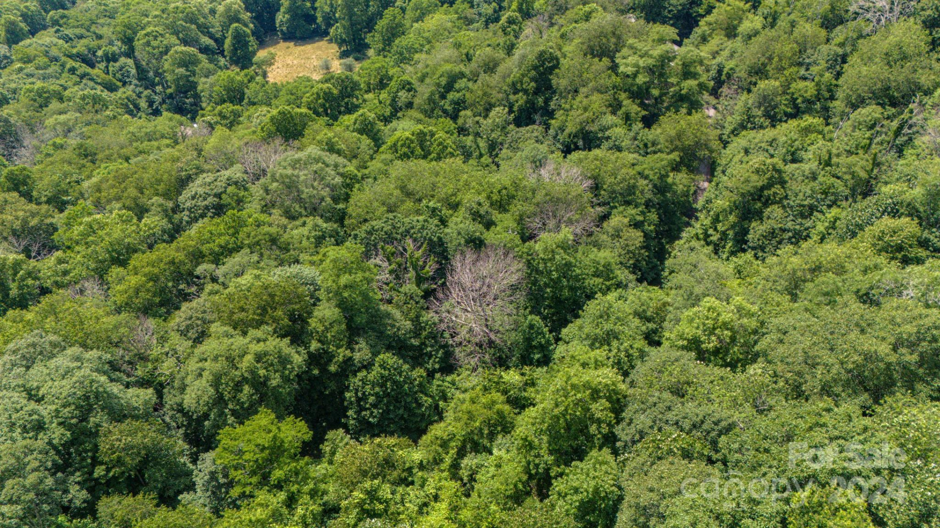 35 Twisted Trail - Photo 18