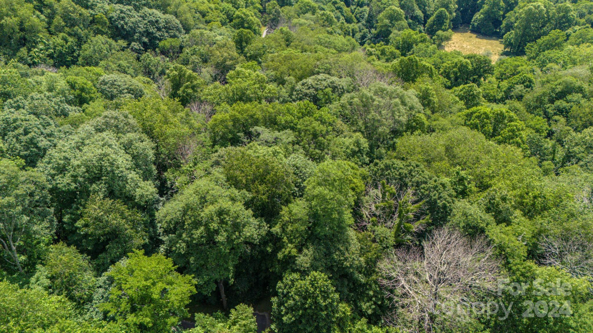 35 Twisted Trail - Photo 19