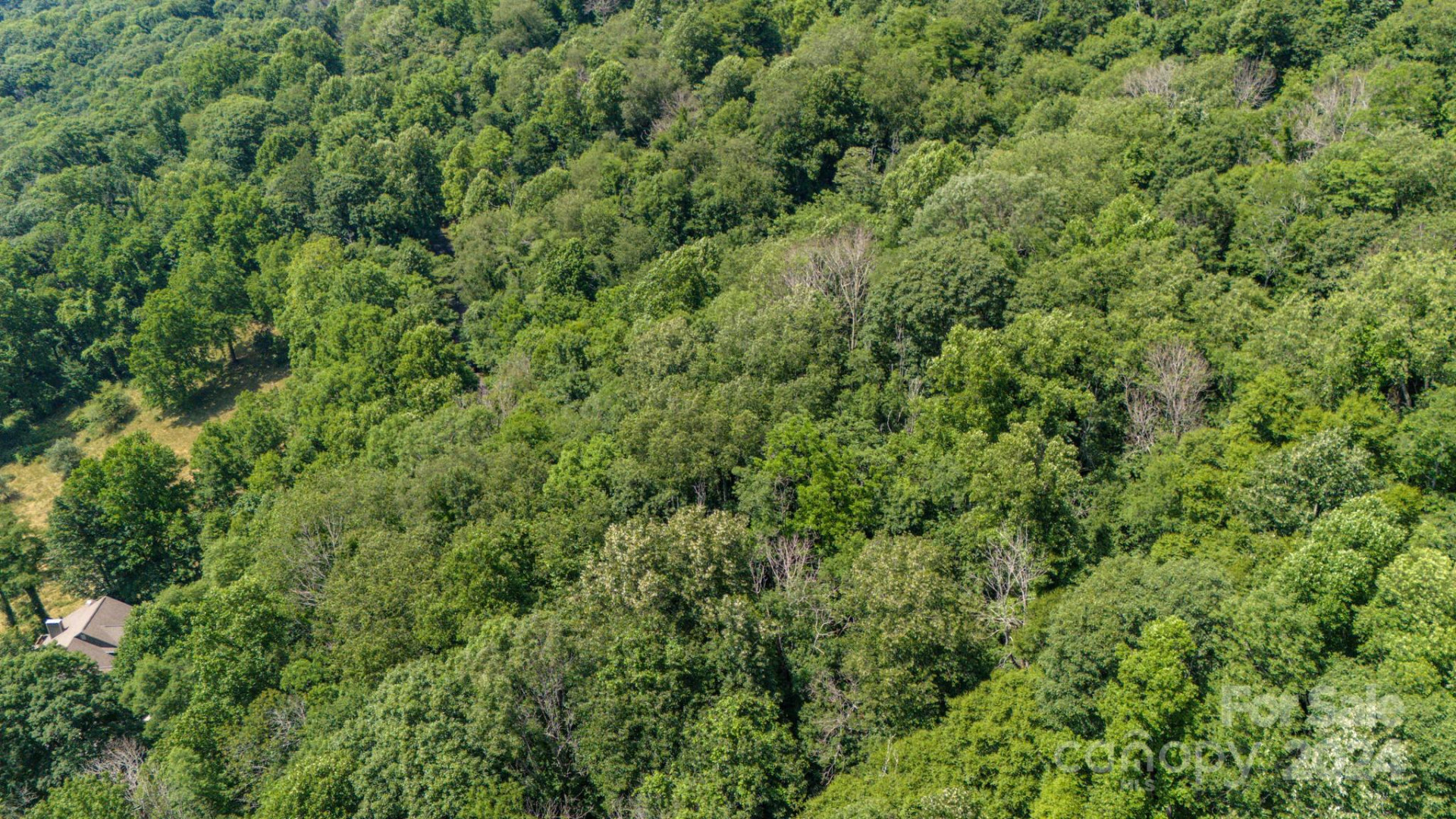 35 Twisted Trail - Photo 22