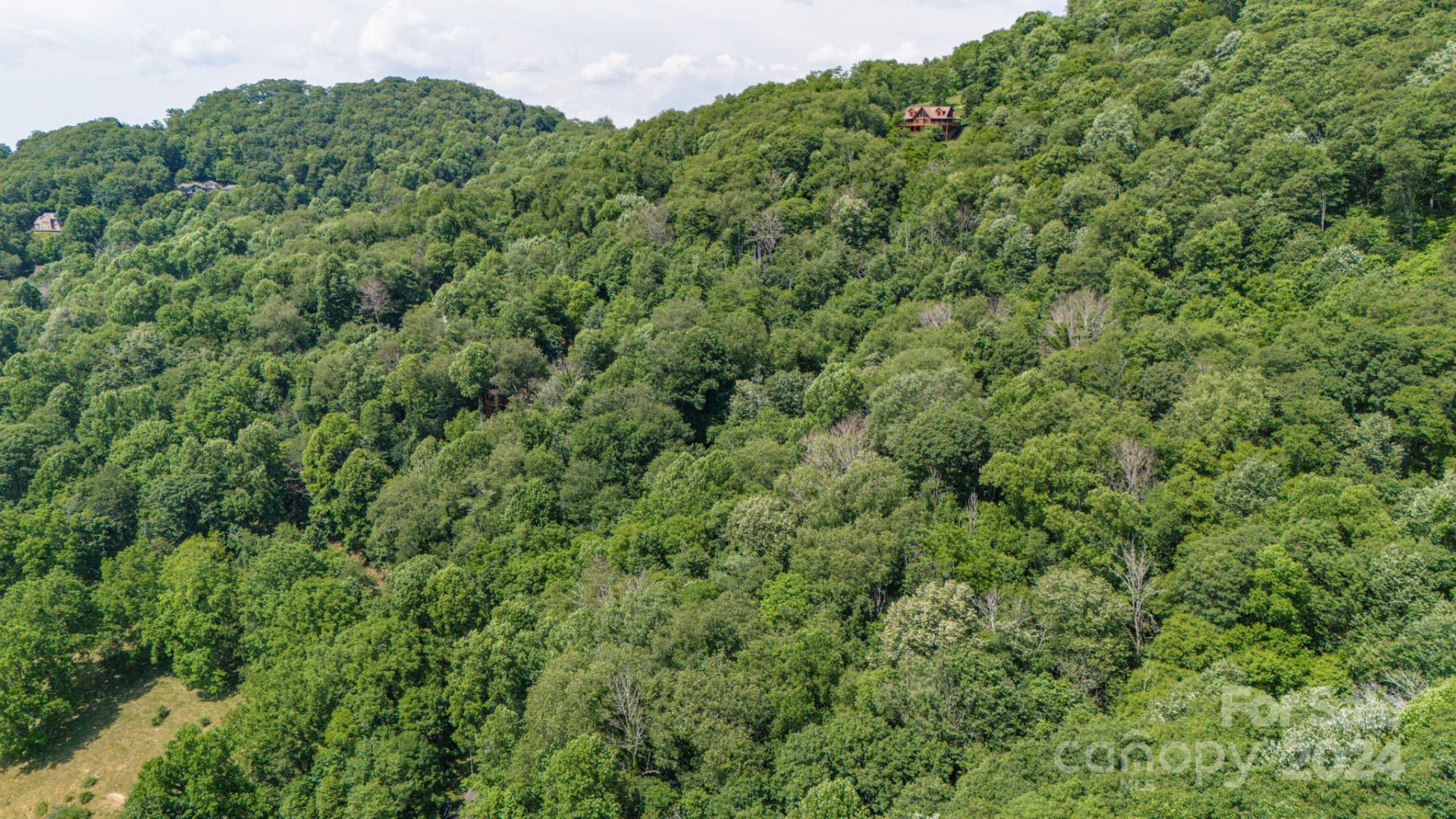 35 Twisted Trail - Photo 23