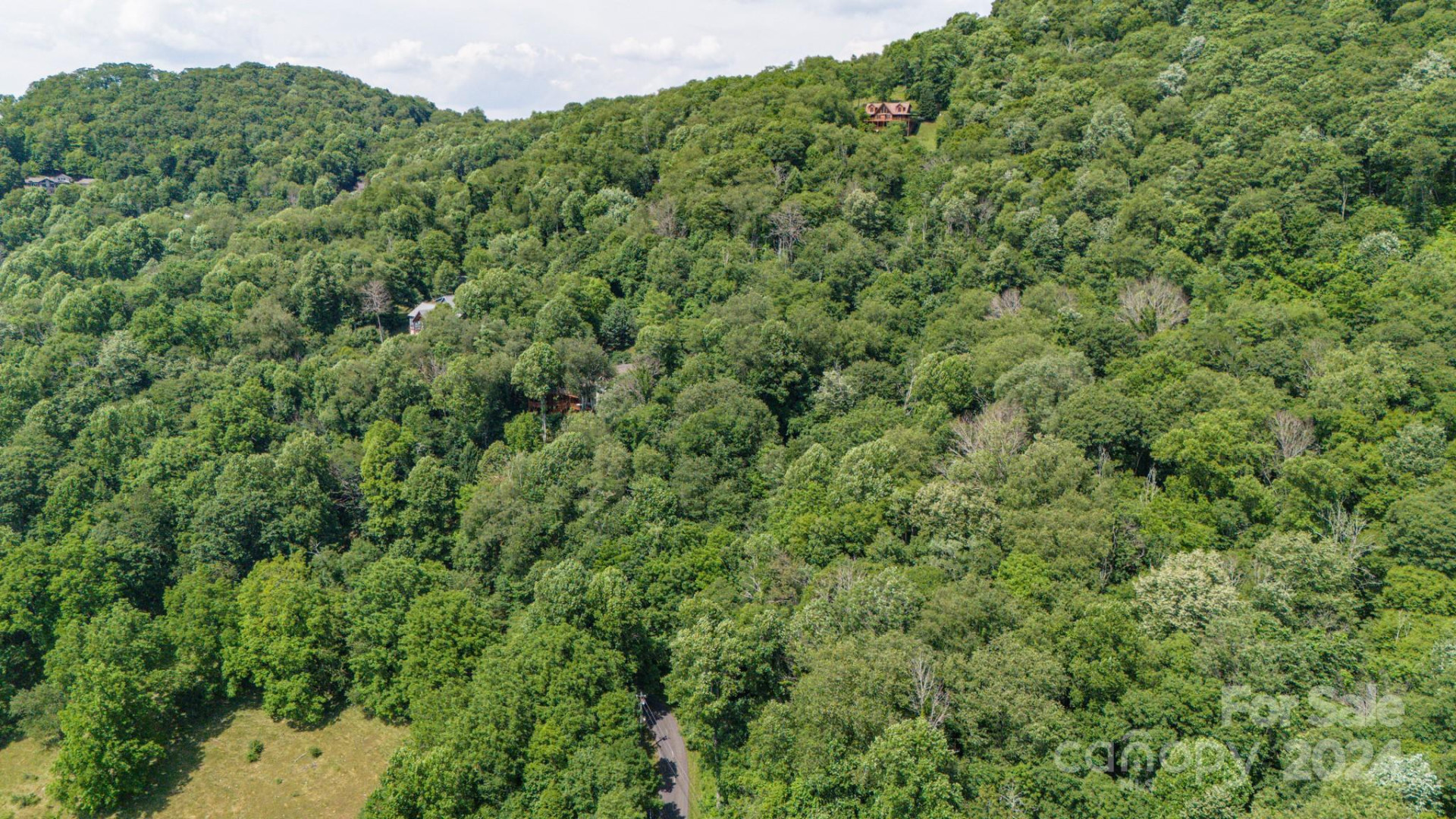 35 Twisted Trail - Photo 24