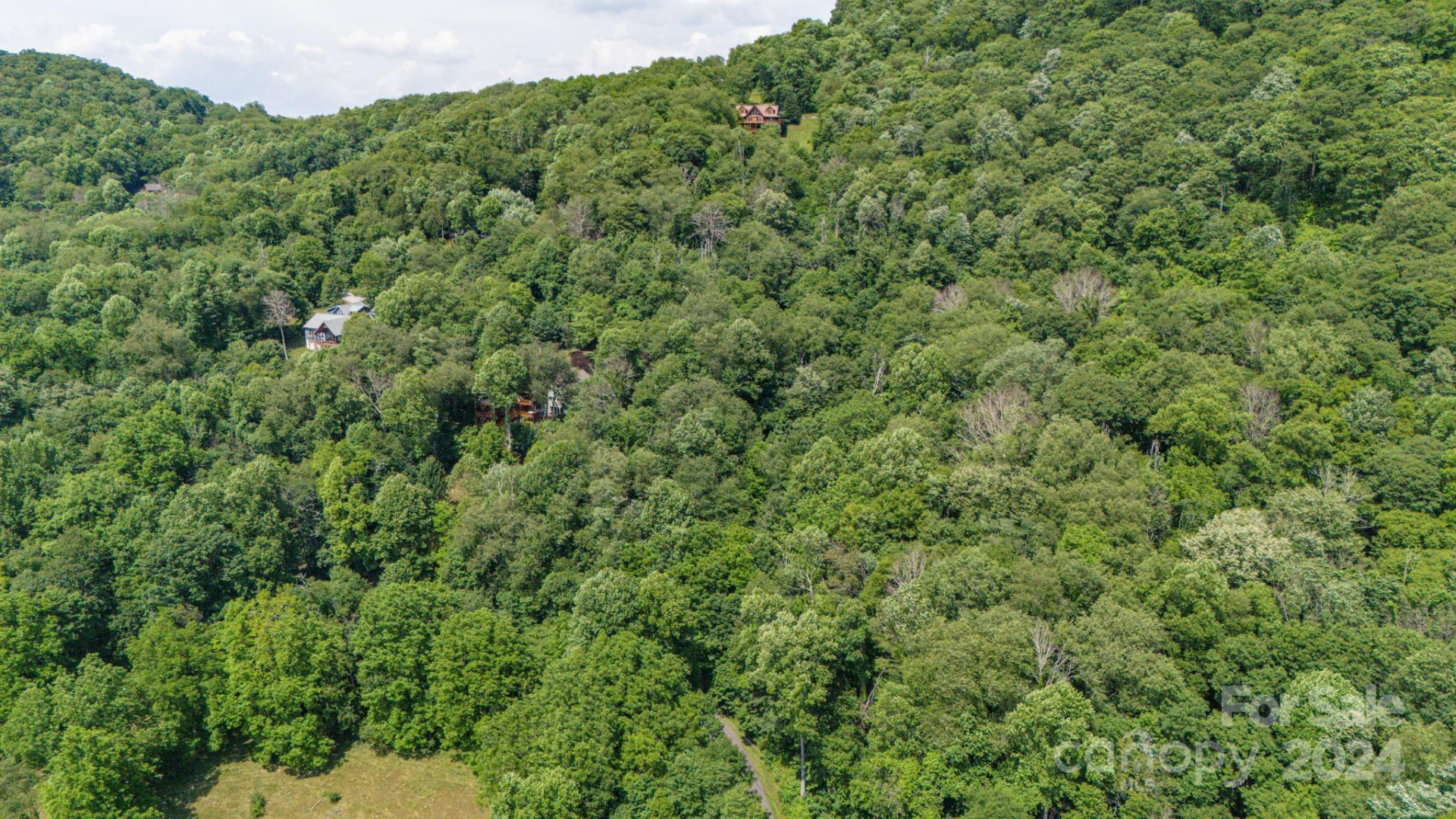 35 Twisted Trail - Photo 25