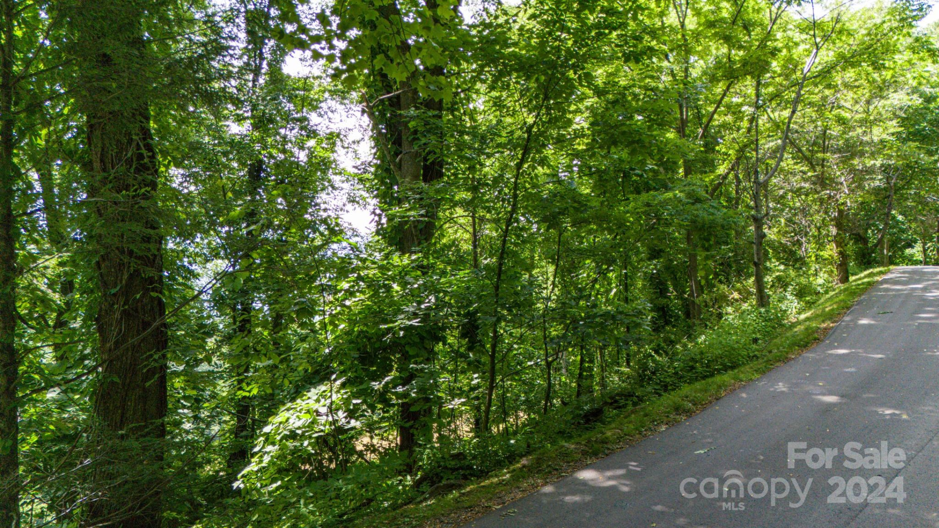 35 Twisted Trail - Photo 27