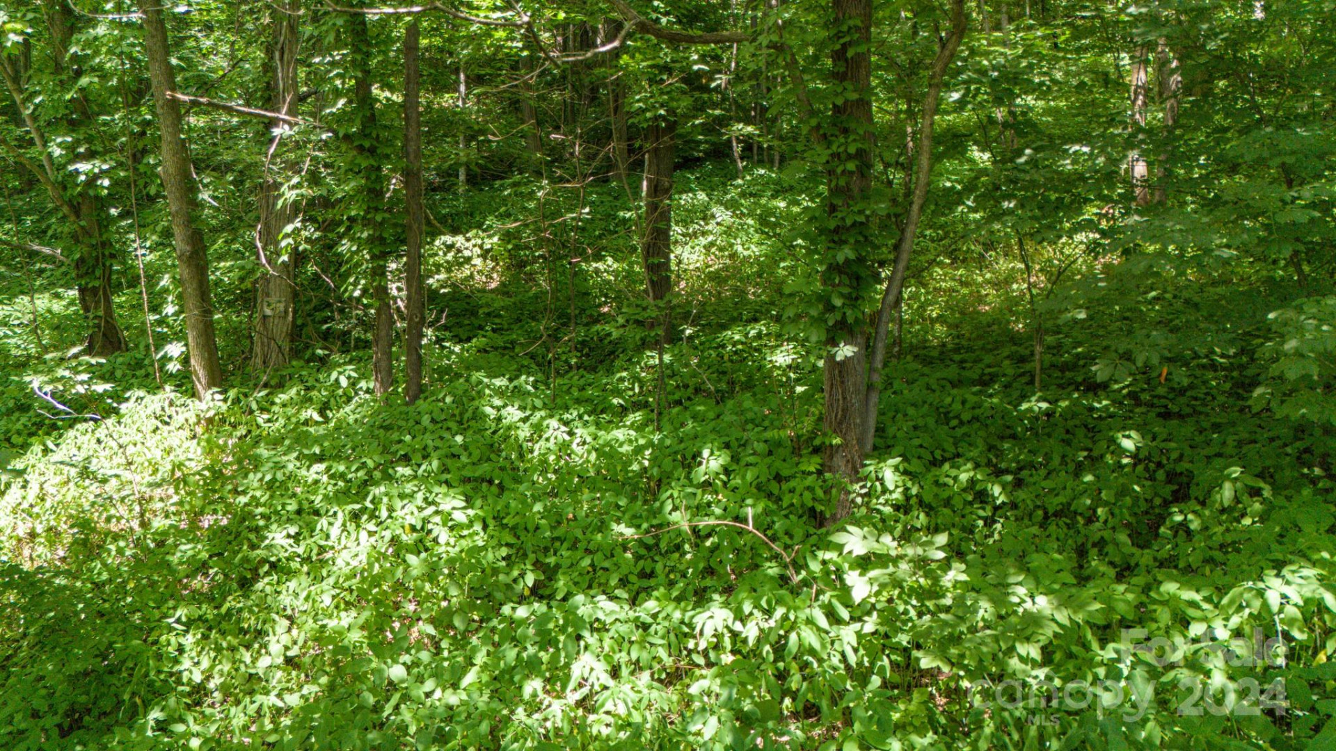 35 Twisted Trail - Photo 29