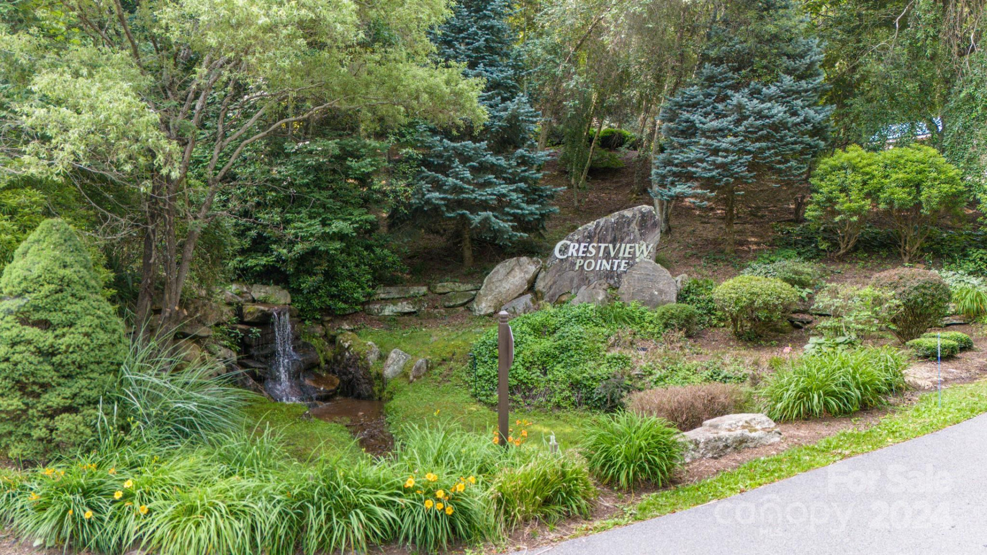 35 Twisted Trail - Photo 4