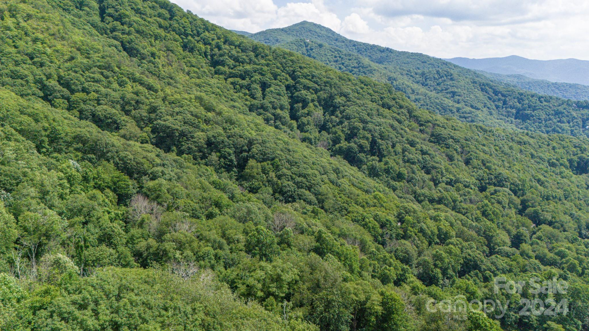 35 Twisted Trail - Photo 5