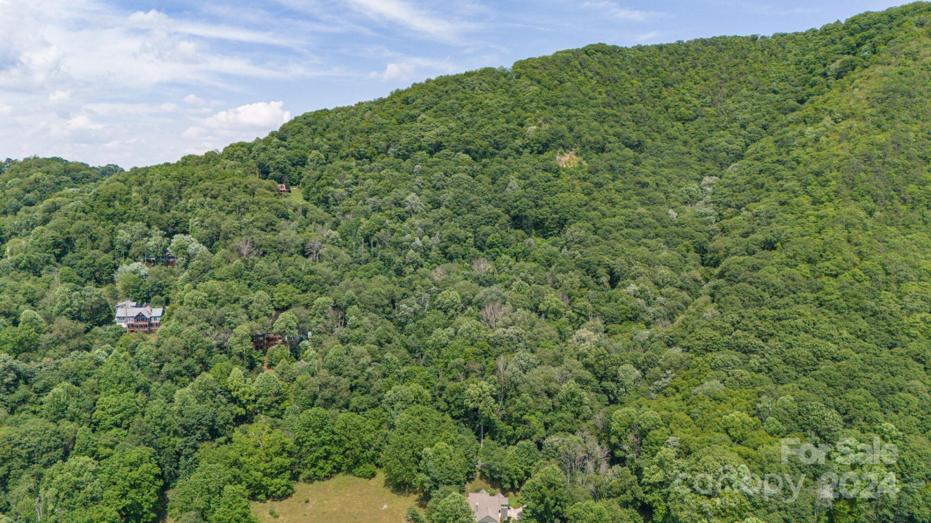 35 Twisted Trail - Photo 6