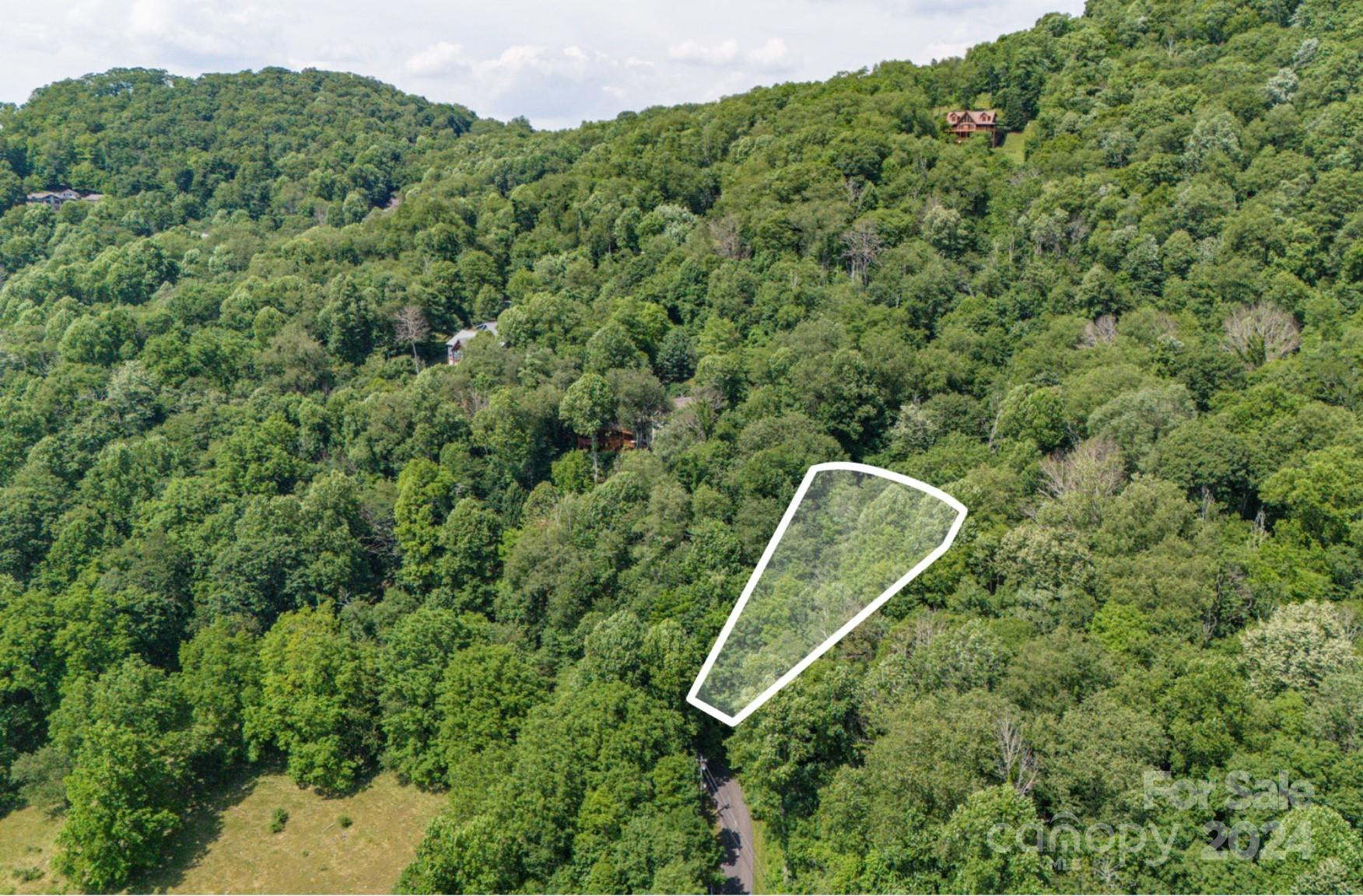 35 Twisted Trail - Photo 7