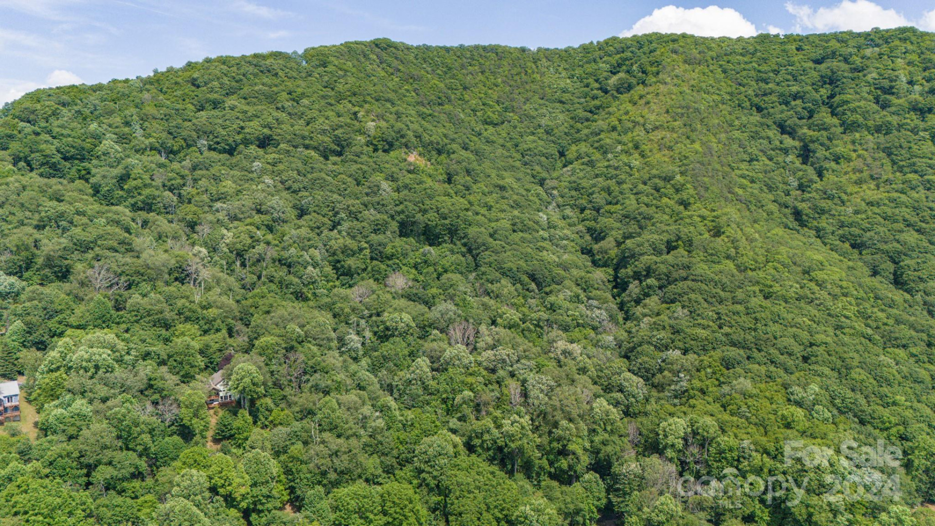 35 Twisted Trail - Photo 8