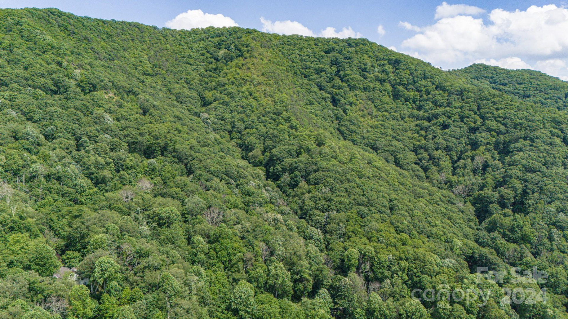 35 Twisted Trail - Photo 9