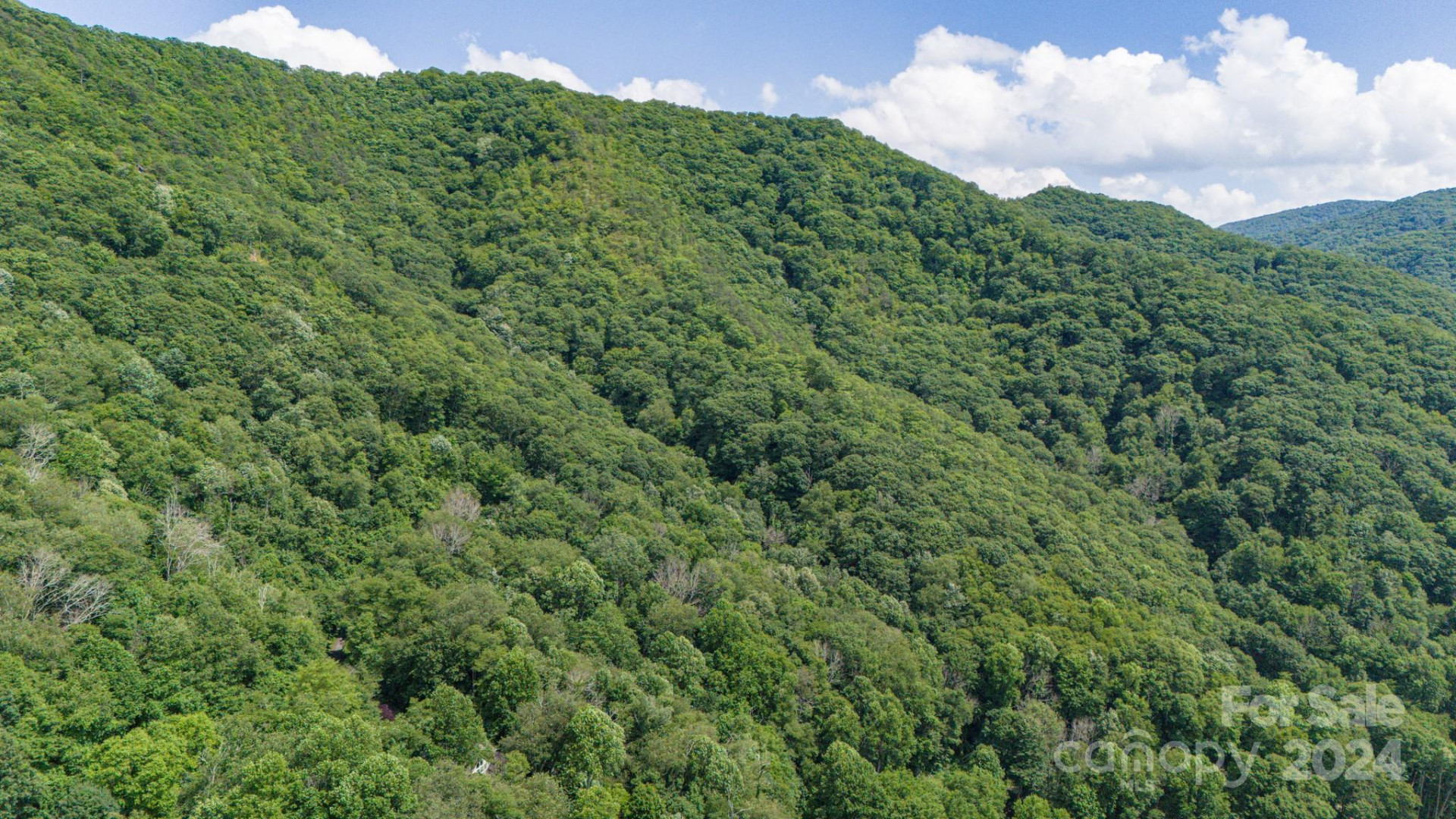 35 Twisted Trail - Photo 10