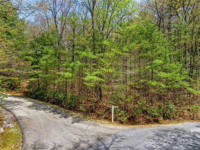 HM 16 Mountain View Road, Lake Toxaway, NC, 28747