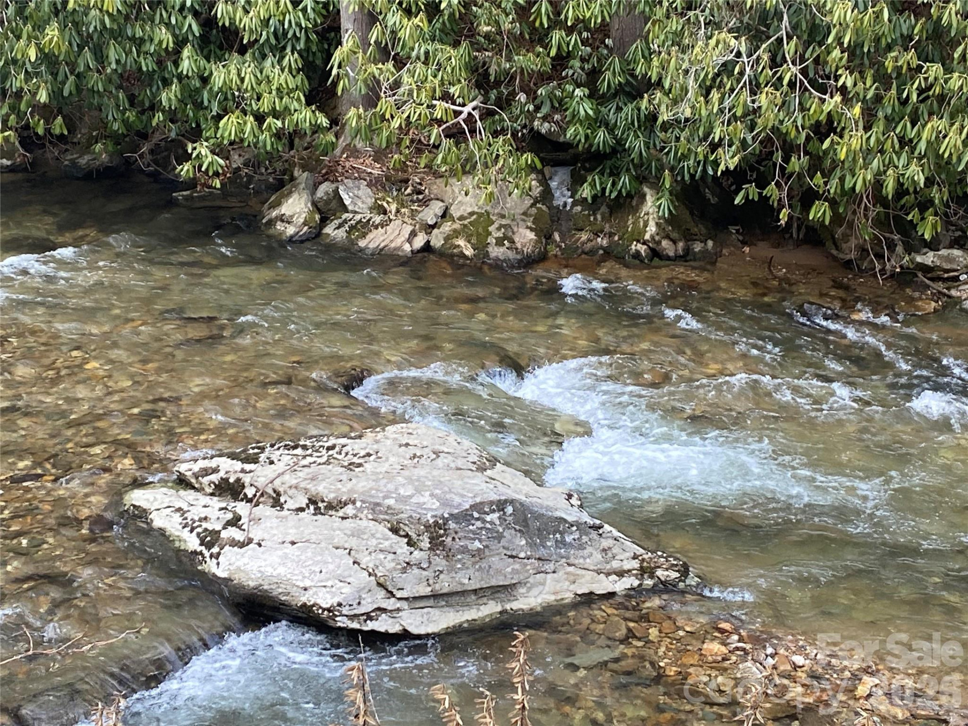 0000 Big Laurel Road - Photo 2