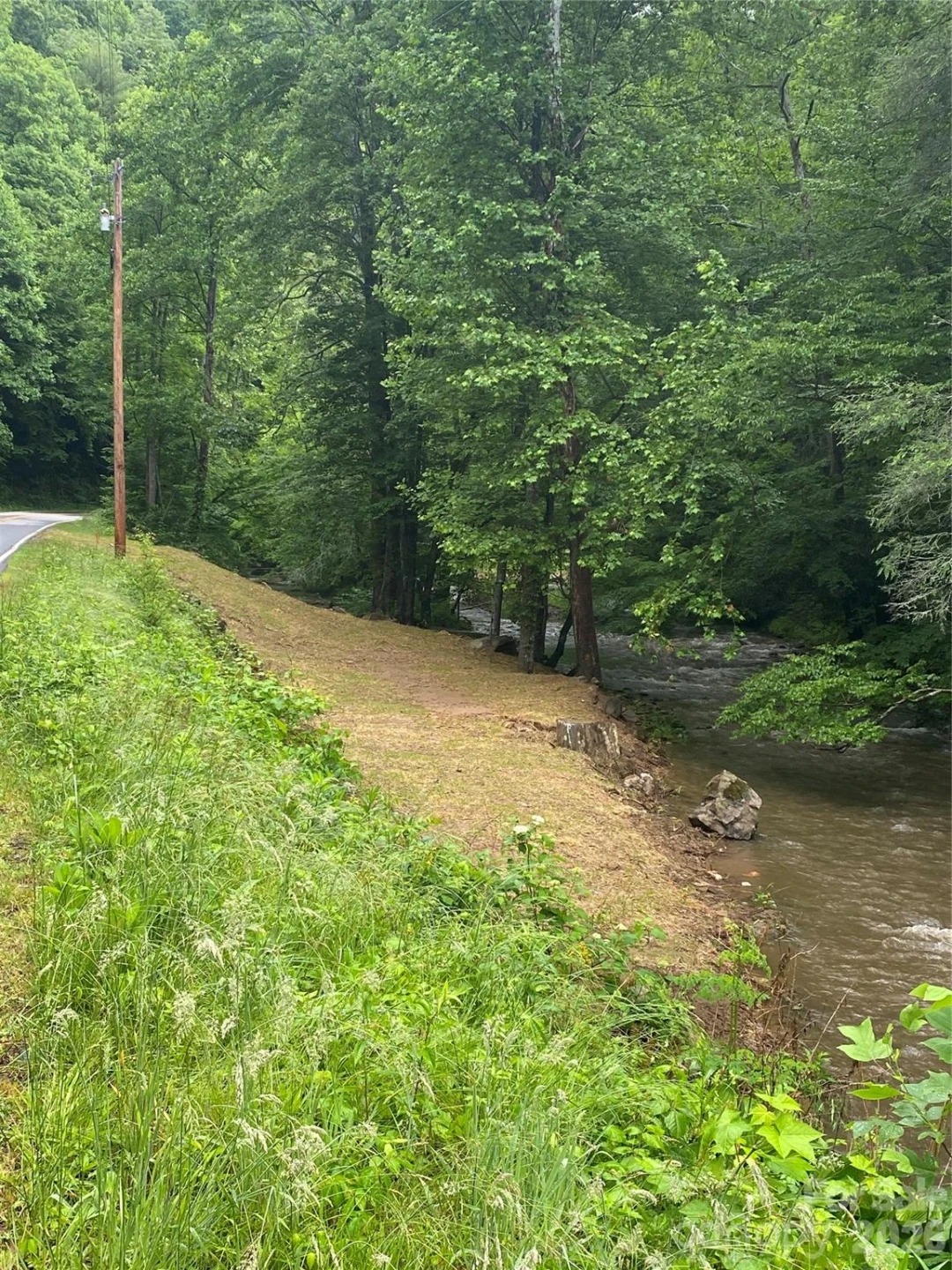 0000 Big Laurel Road - Photo 2