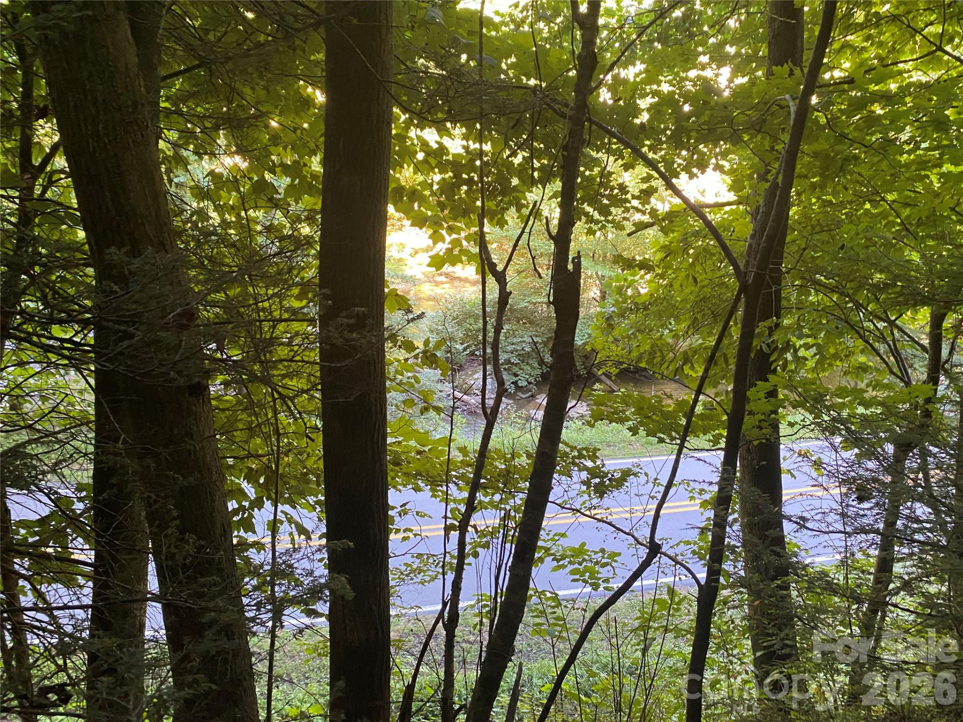 0000 Big Laurel Road - Photo 11