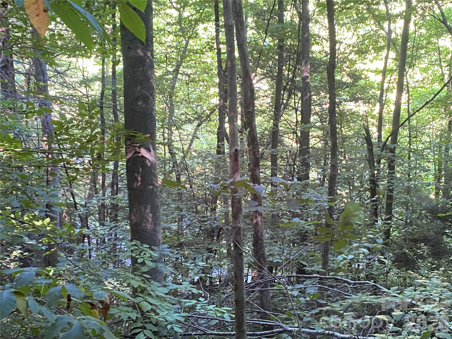 0000 Big Laurel Road - Photo 12