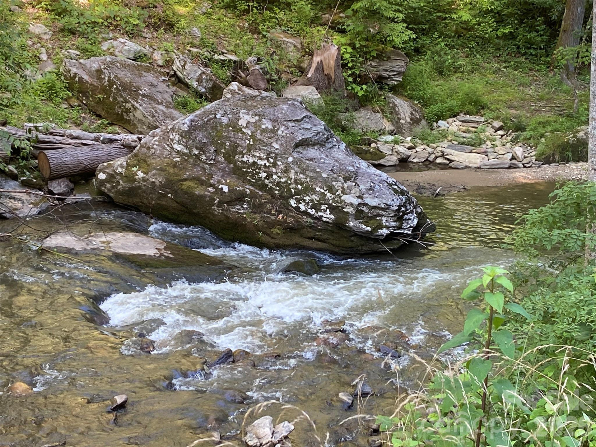 0000 Big Laurel Road - Photo 13