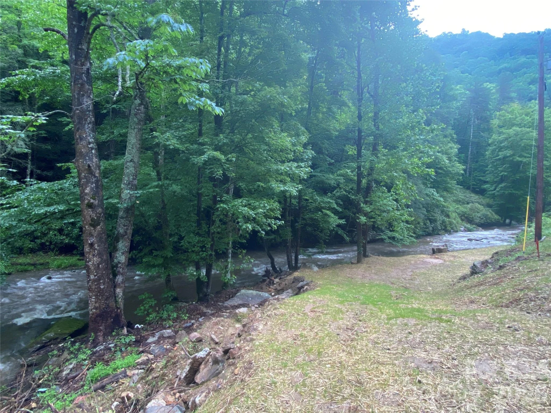 0000 Big Laurel Road - Photo 13