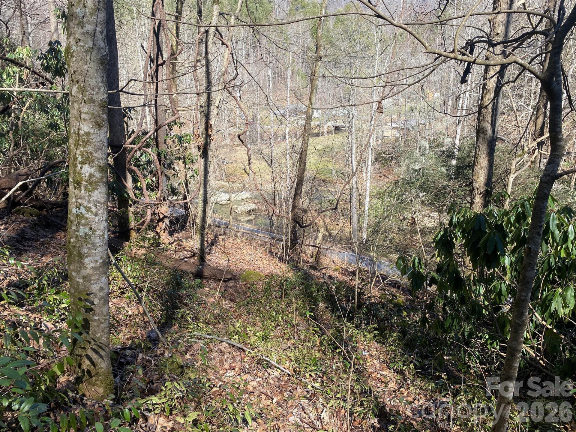 0000 Big Laurel Road - Photo 16