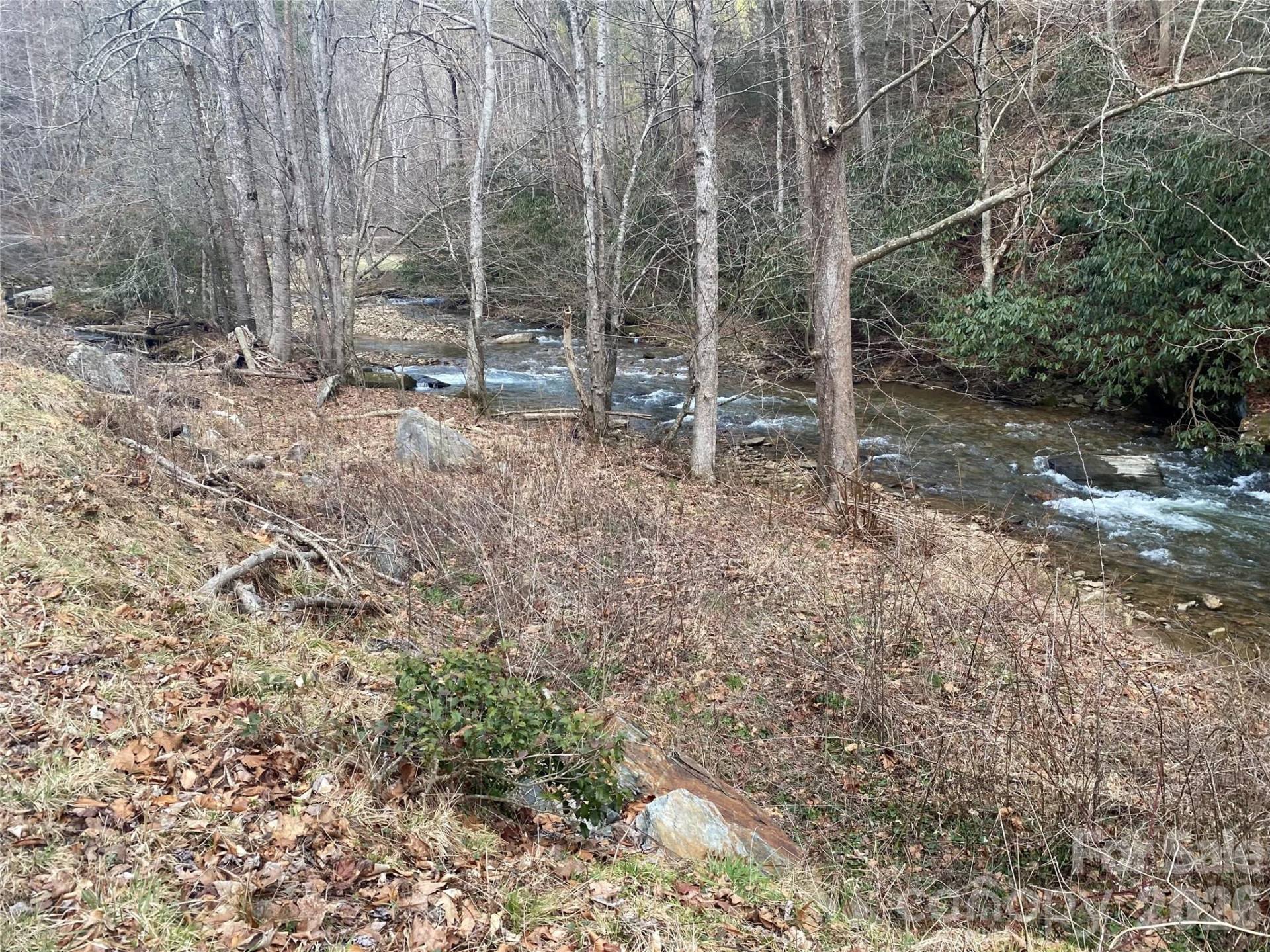 0000 Big Laurel Road - Photo 17