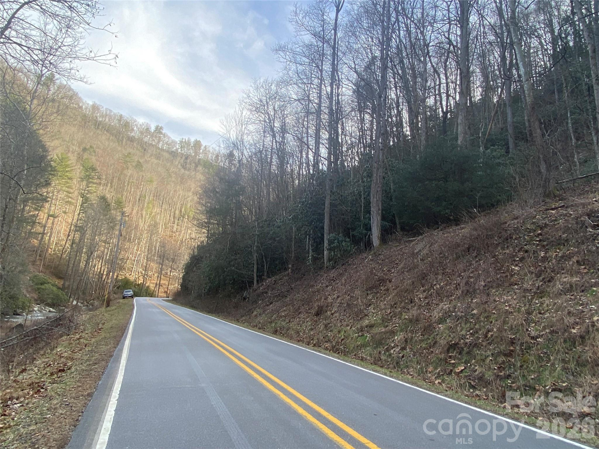 0000 Big Laurel Road - Photo 18