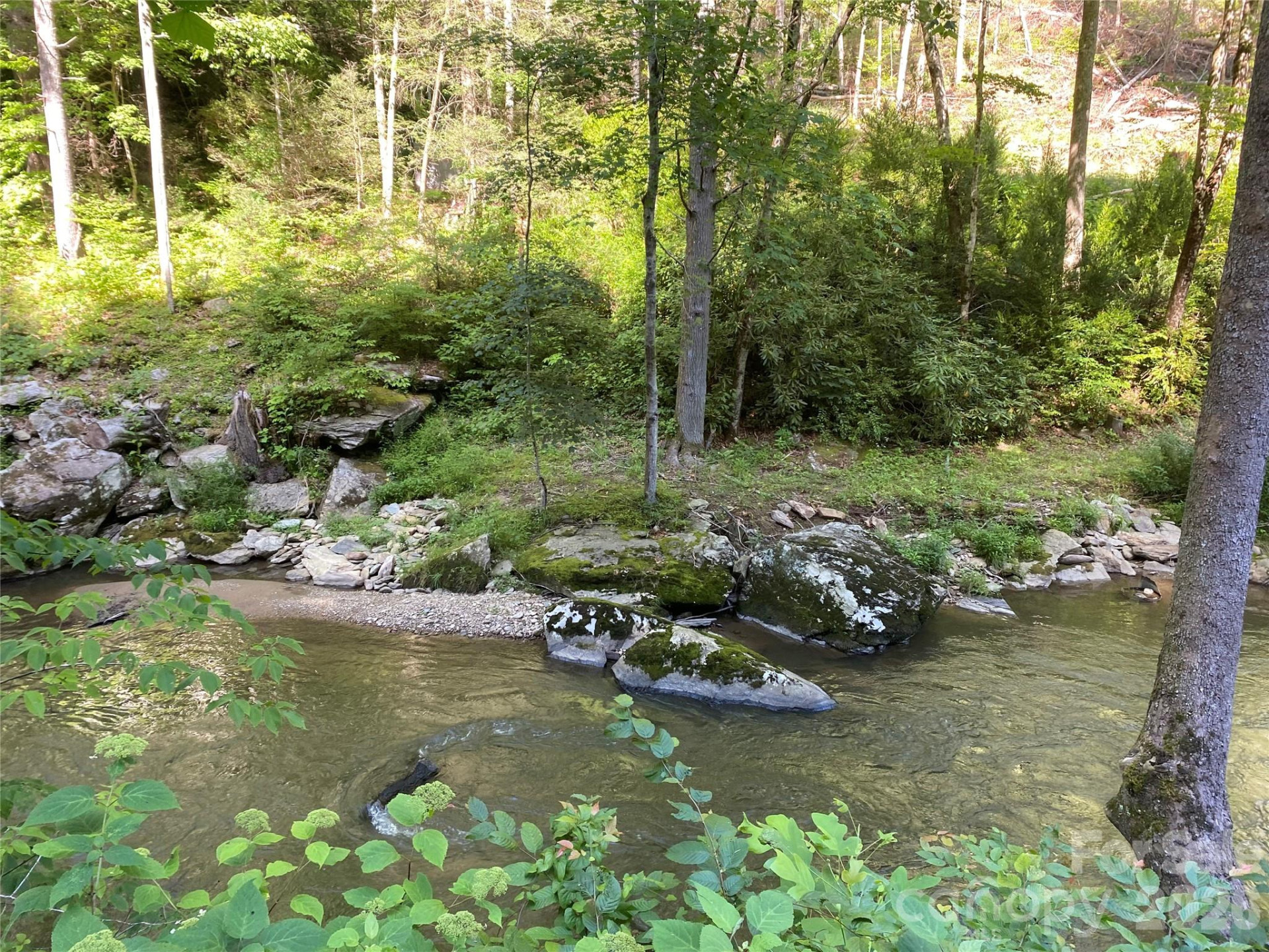 0000 Big Laurel Road - Photo 4