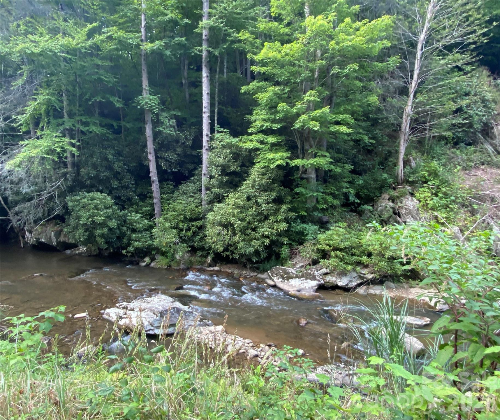 0000 Big Laurel Road - Photo 5