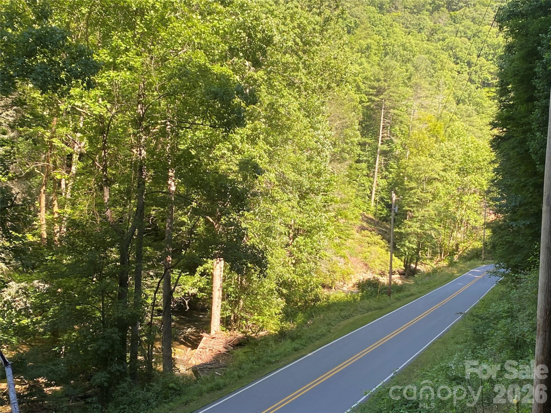 0000 Big Laurel Road - Photo 6