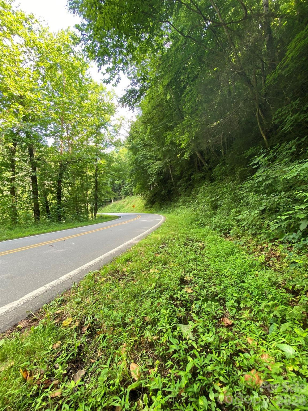 0000 Big Laurel Road - Photo 7