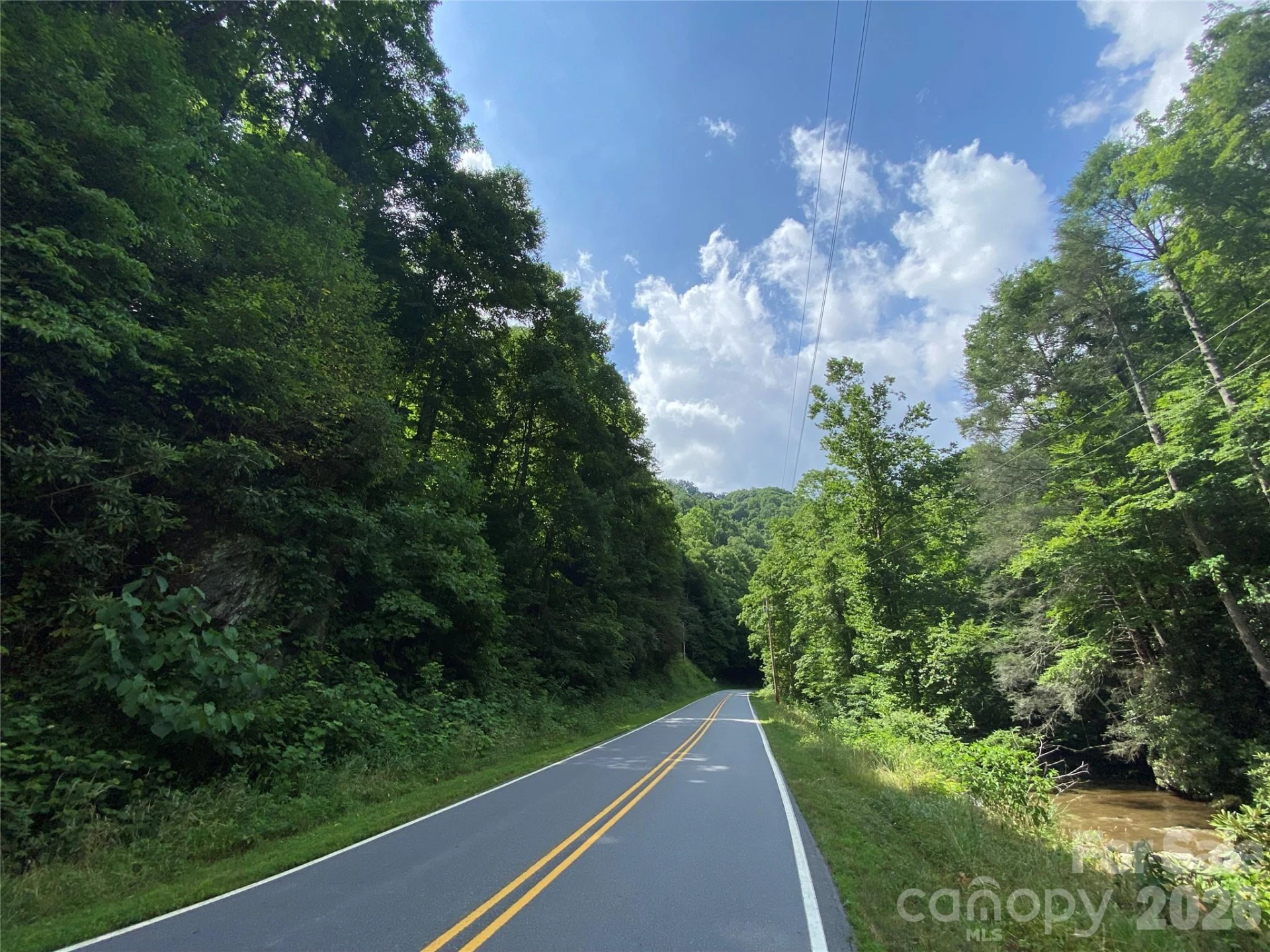 0000 Big Laurel Road - Photo 7