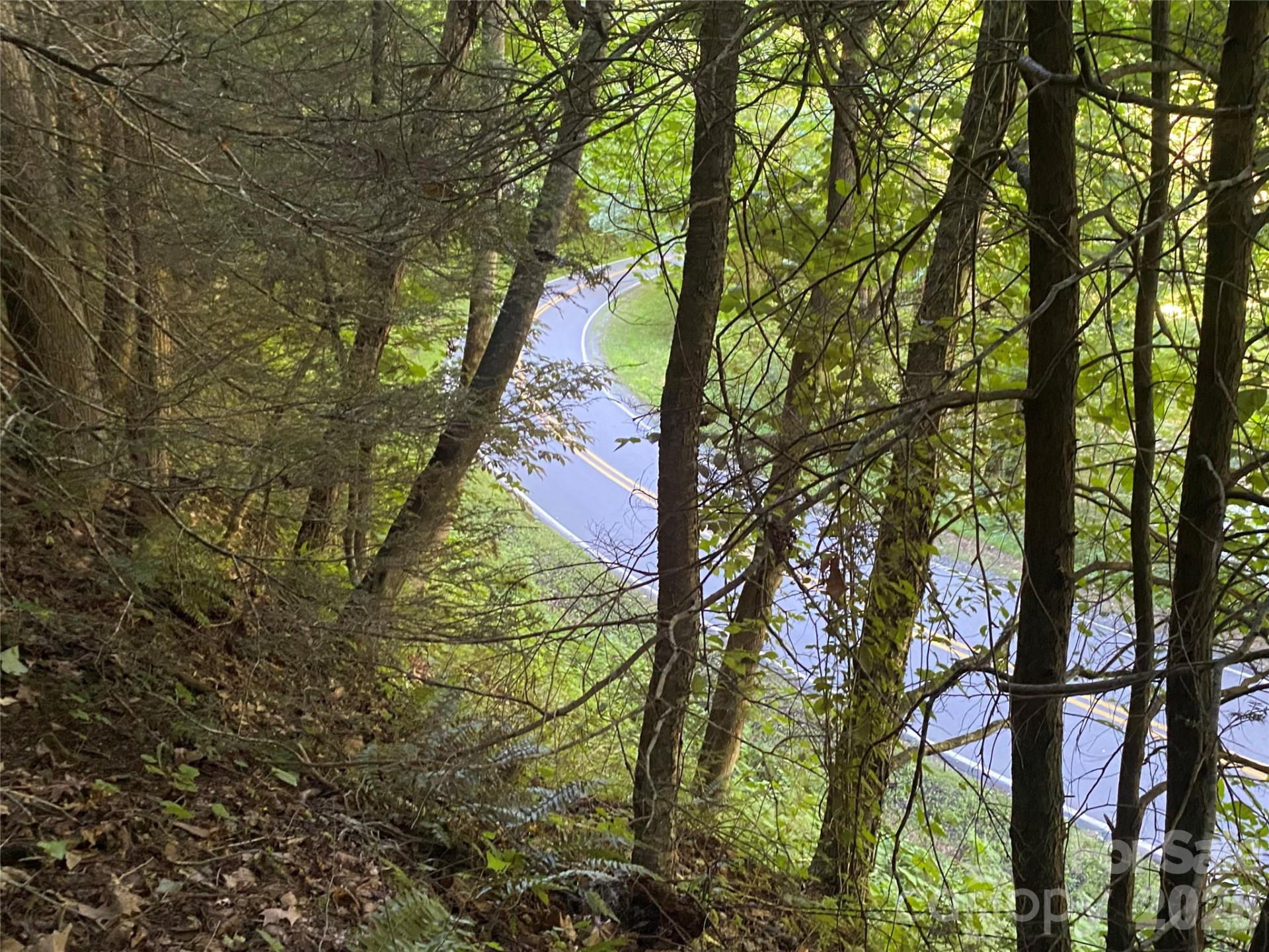 0000 Big Laurel Road - Photo 8